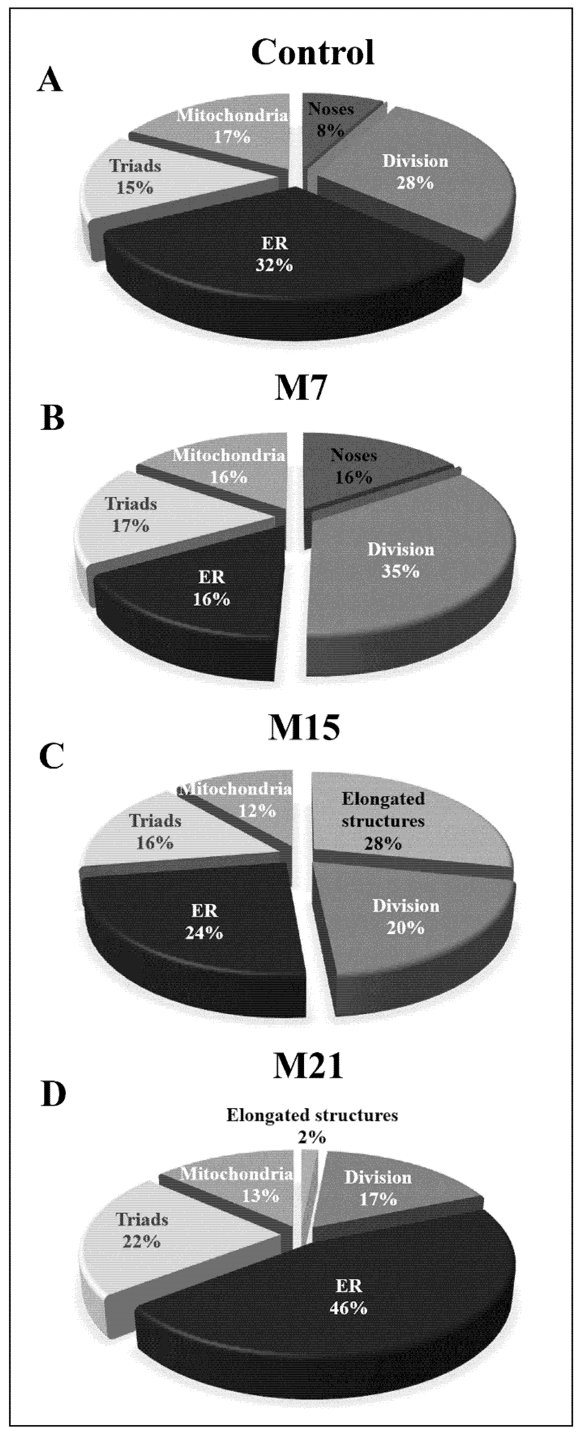 Cells 10 02248 g007 Cells 10 02248 g007