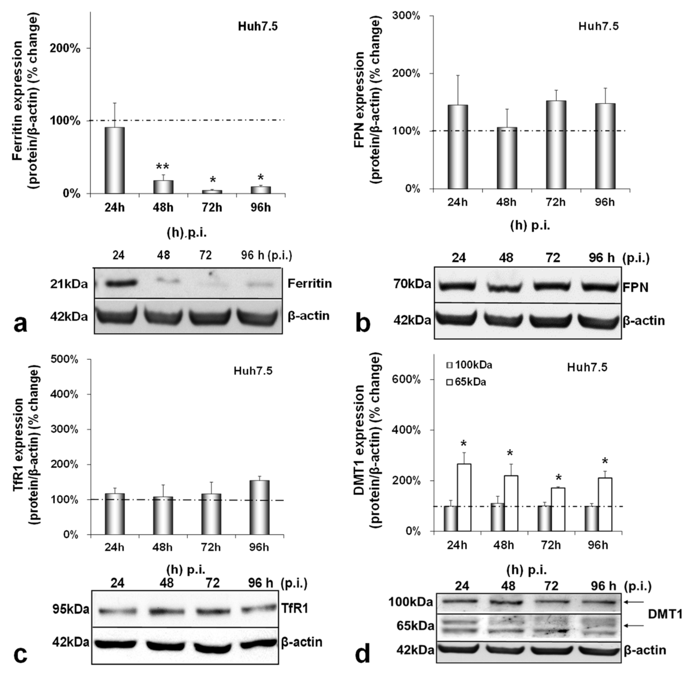 Cells 10 02251 g002 Cells 10 02251 g002
