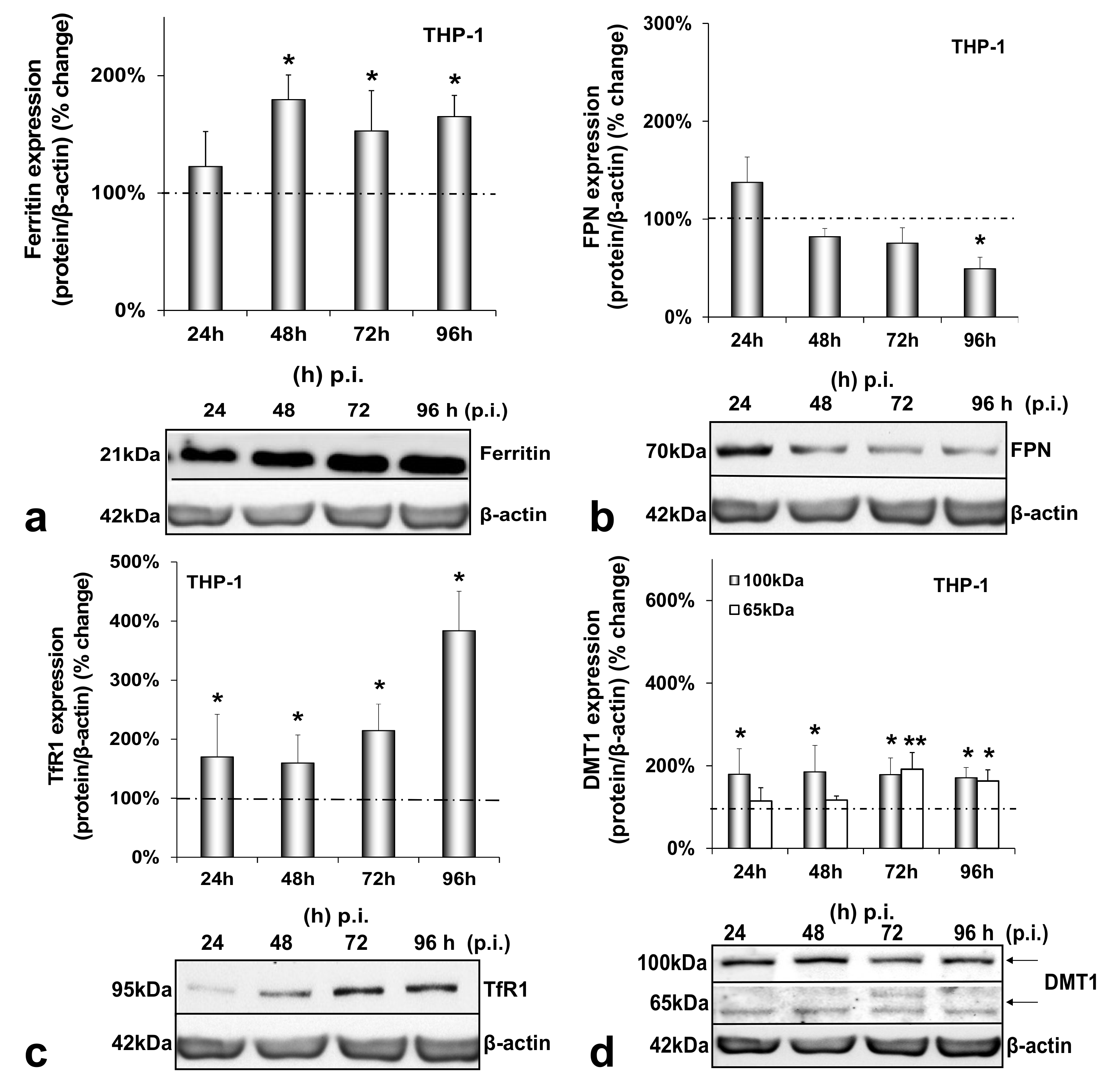 Cells 10 02251 g004 Cells 10 02251 g004