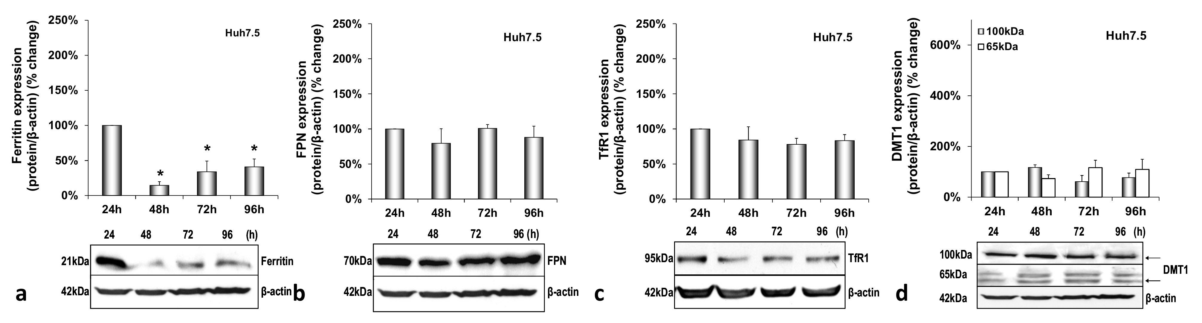 Cells 10 02251 g0a2 Cells 10 02251 g0a2