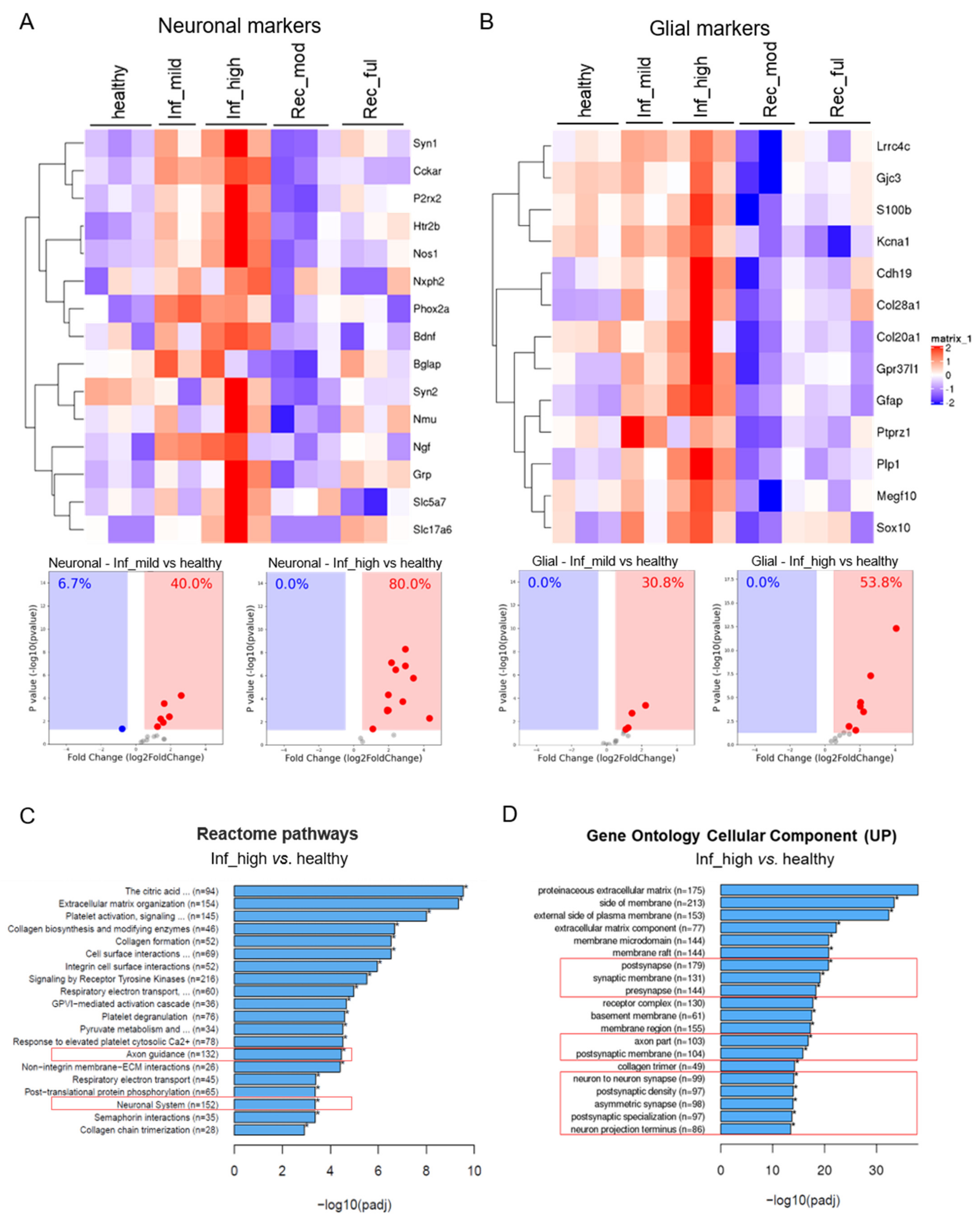 Cells 10 02253 g001 550