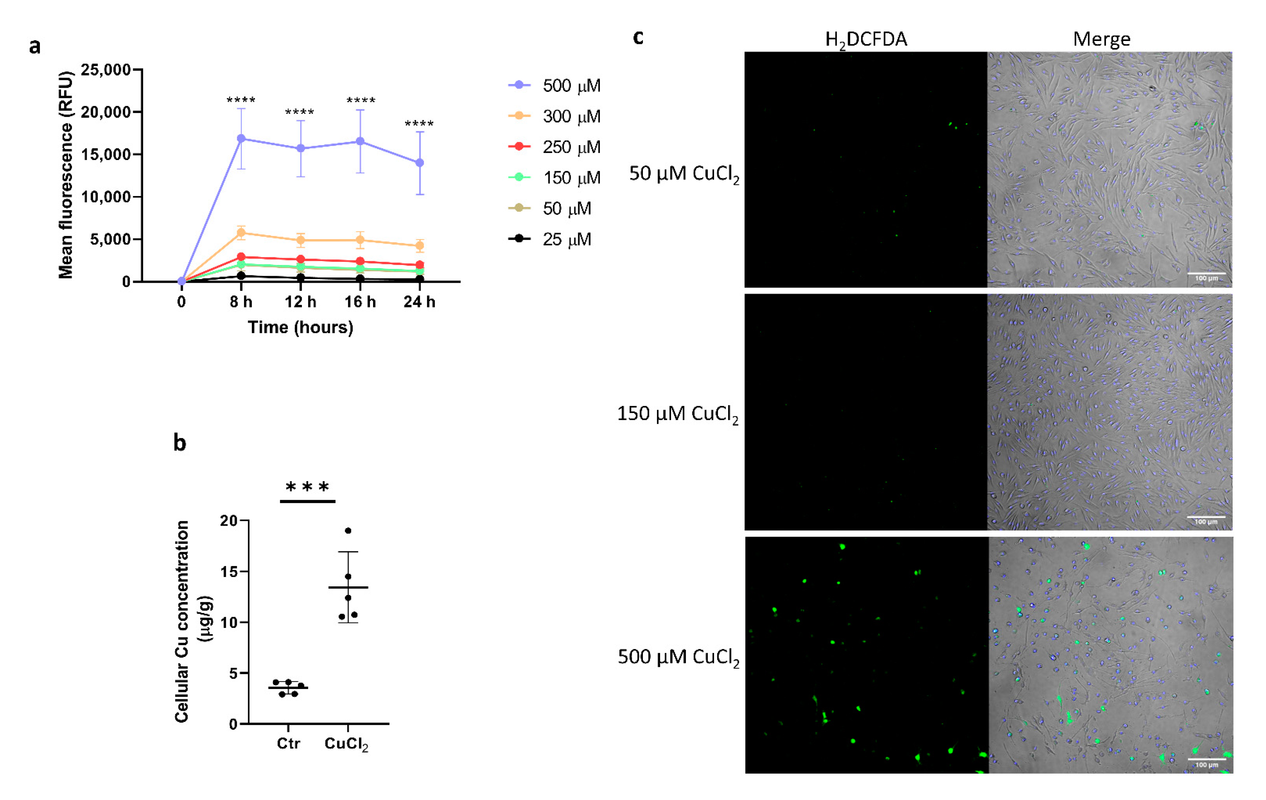 Cells 10 02259 g001 Cells 10 02259 g001
