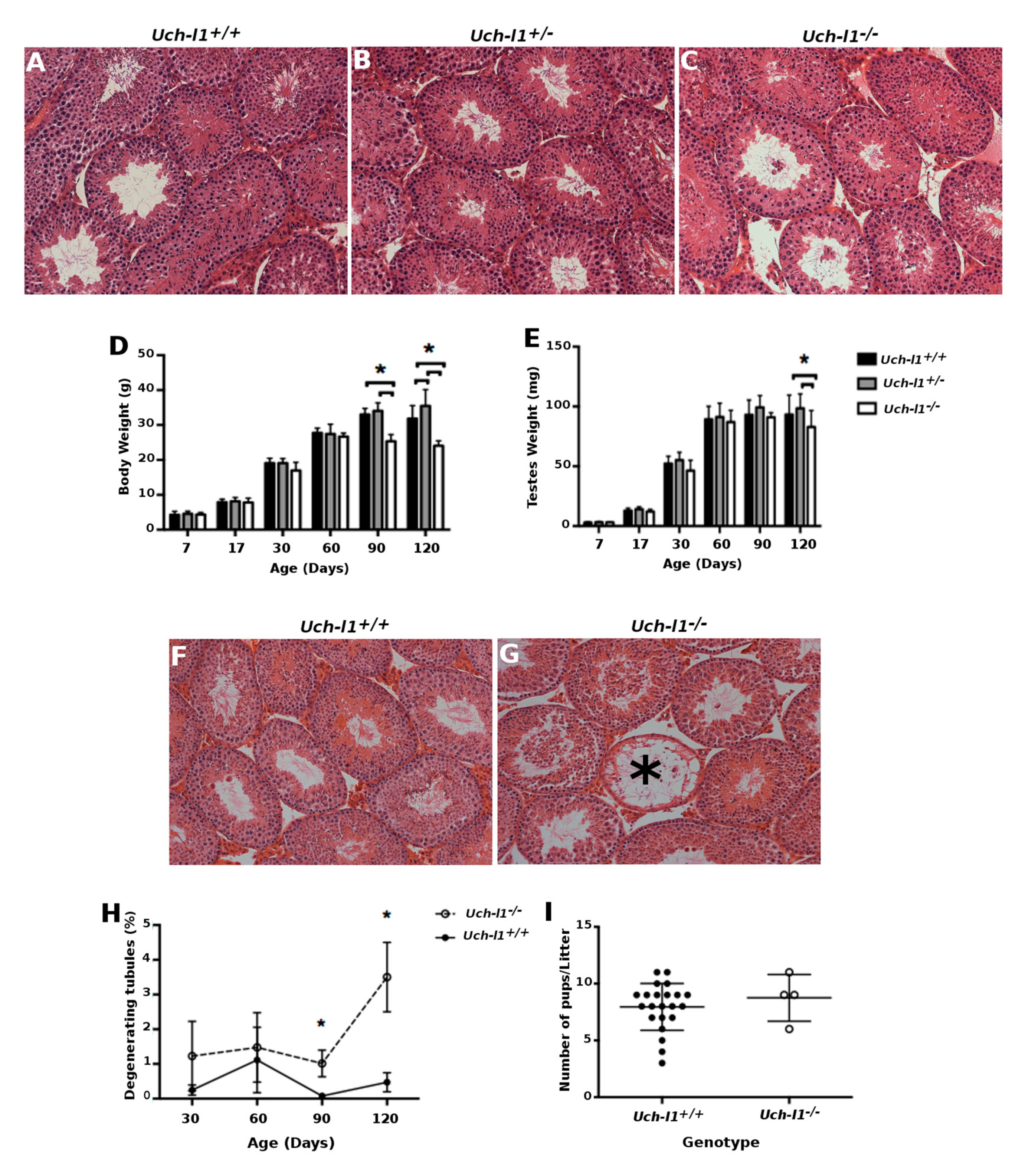 Cells 10 02265 g002 Cells 10 02265 g002