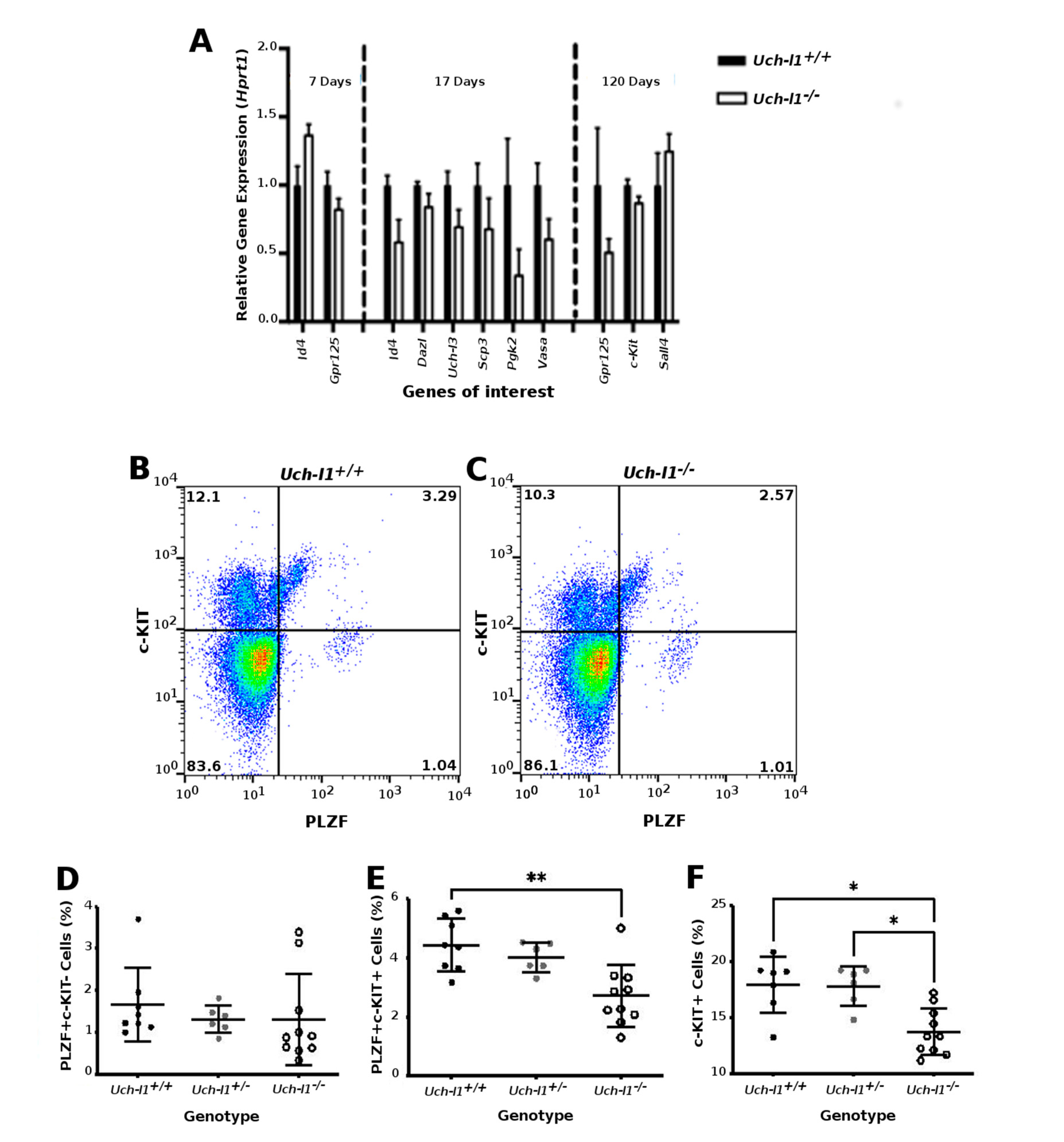 Cells 10 02265 g003 Cells 10 02265 g003