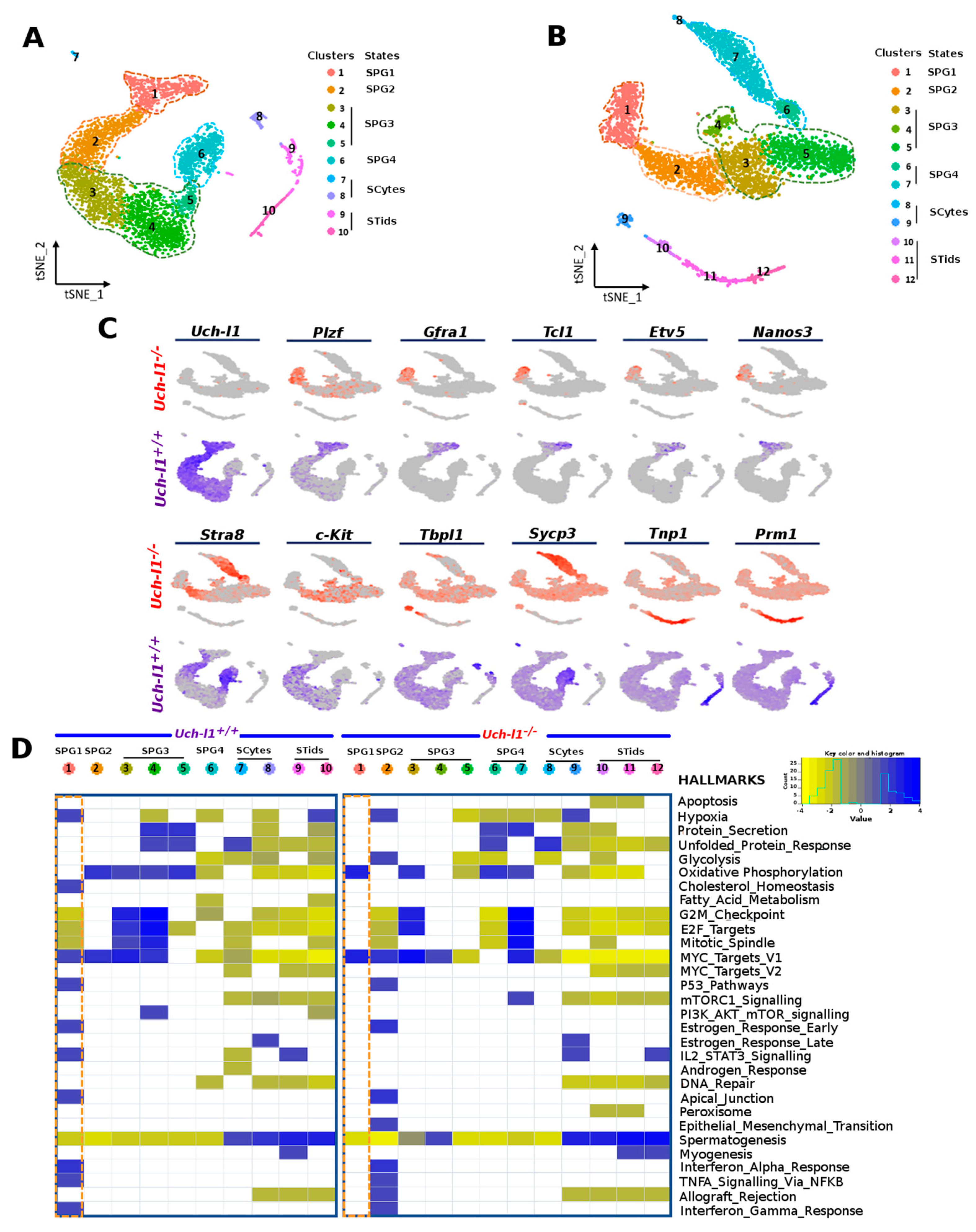 Cells 10 02265 g004 Cells 10 02265 g004