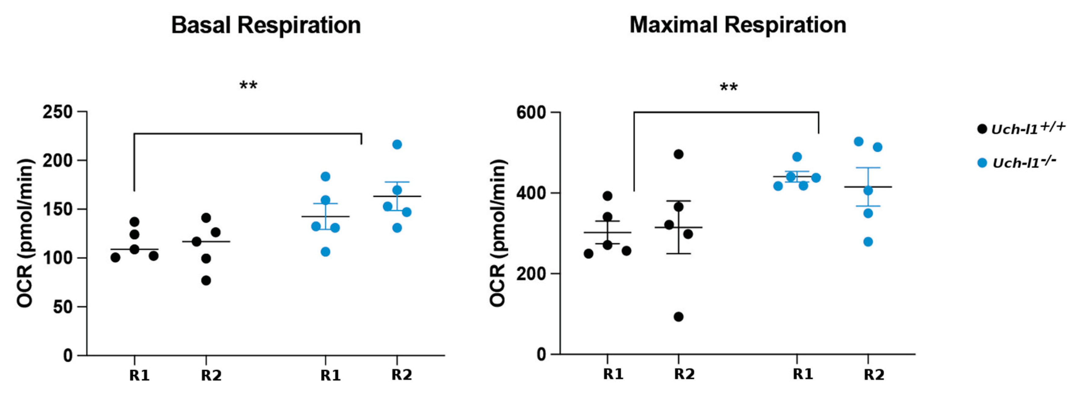 Cells 10 02265 g007 Cells 10 02265 g007