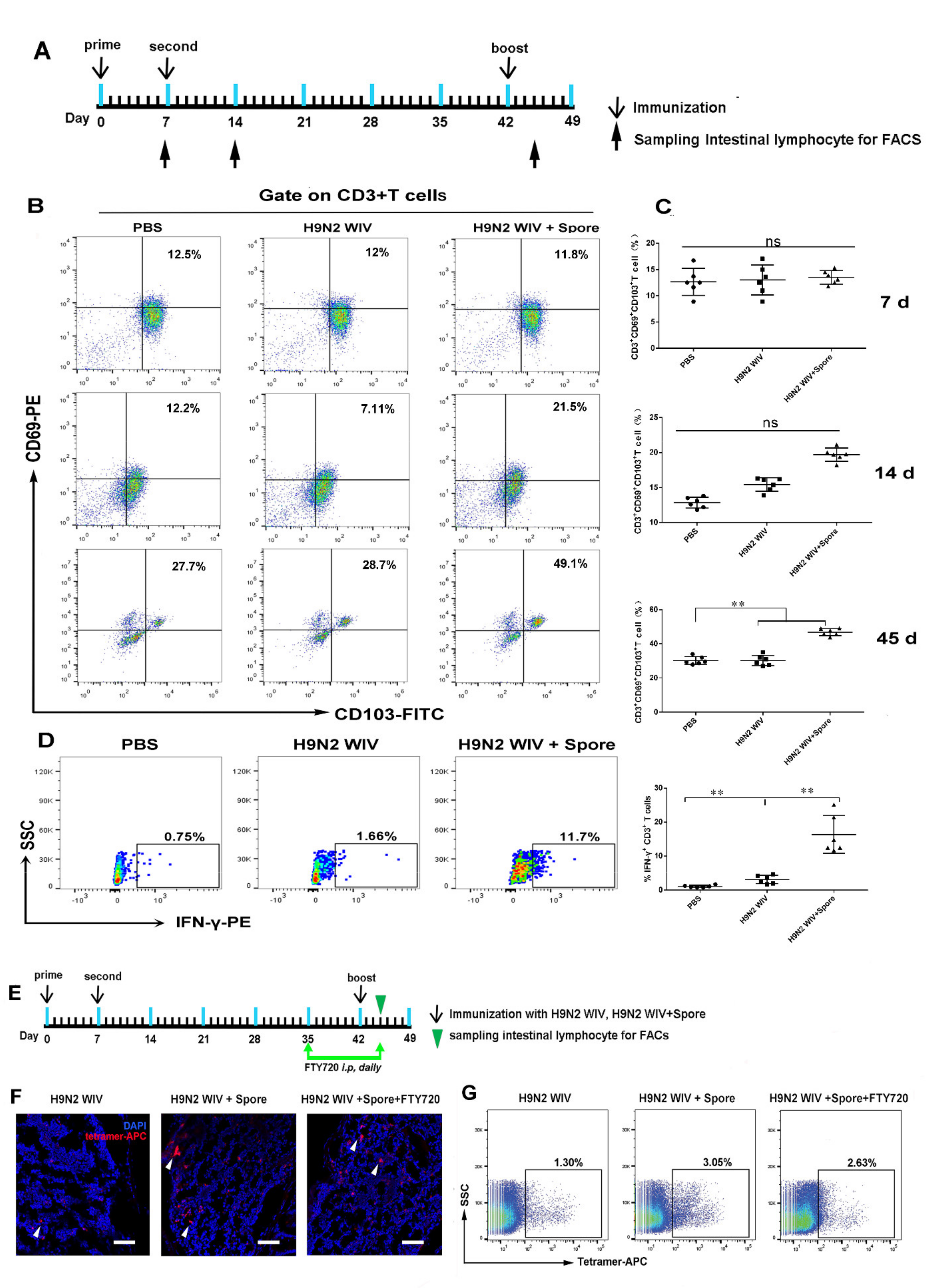 Cells 10 02267 g002 550