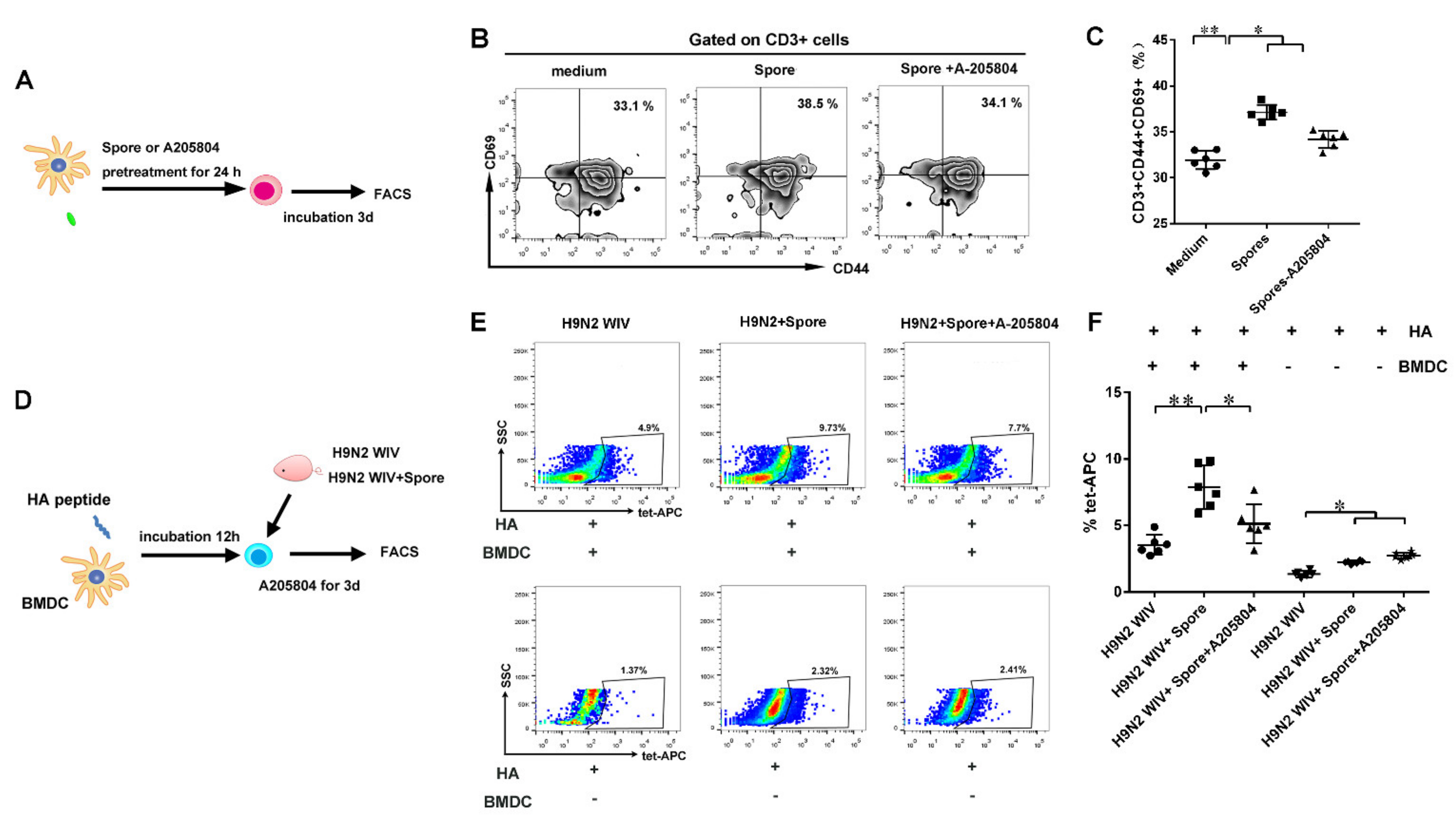 Cells 10 02267 g007 550