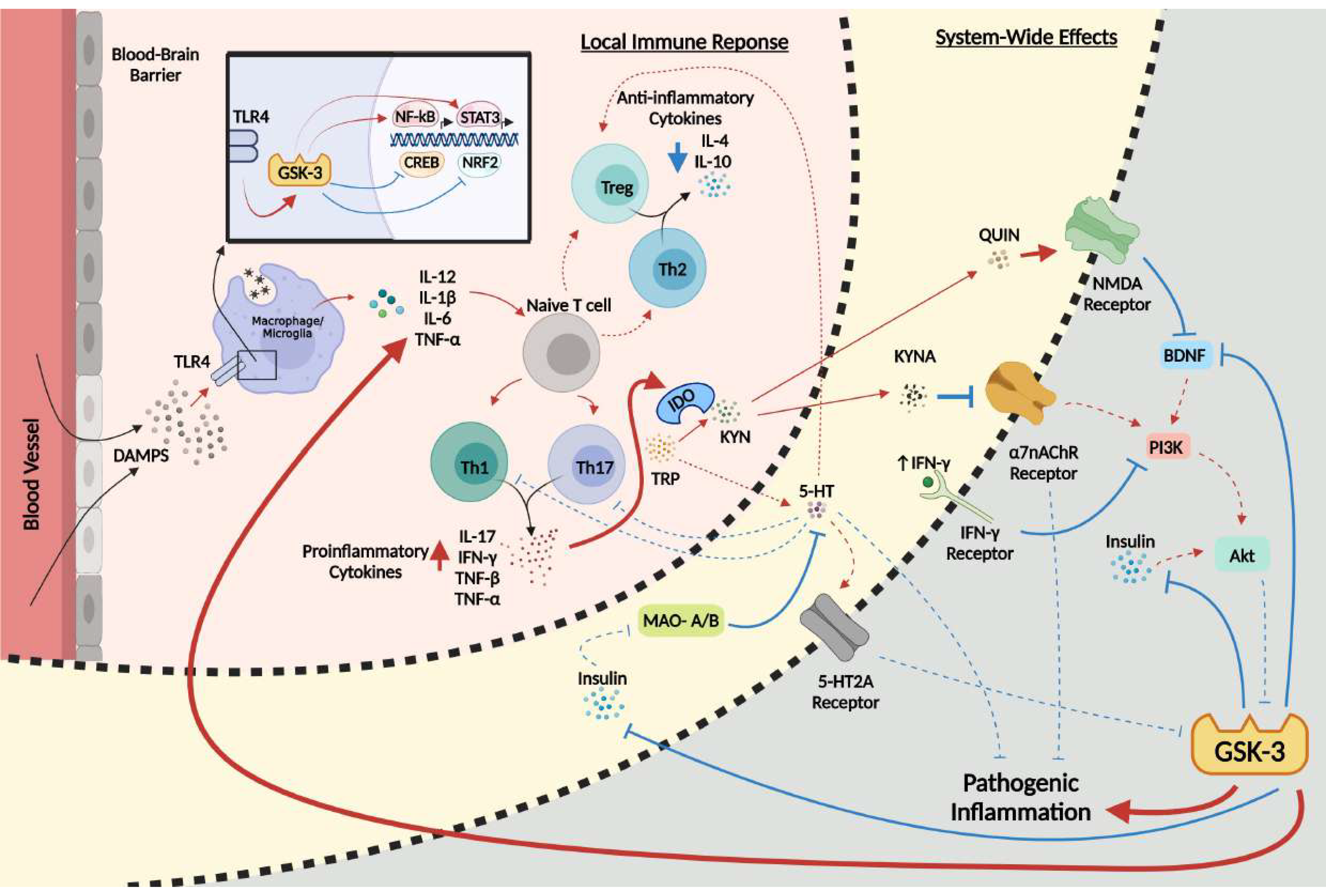 Cells 10 02270 g001 Cells 10 02270 g001