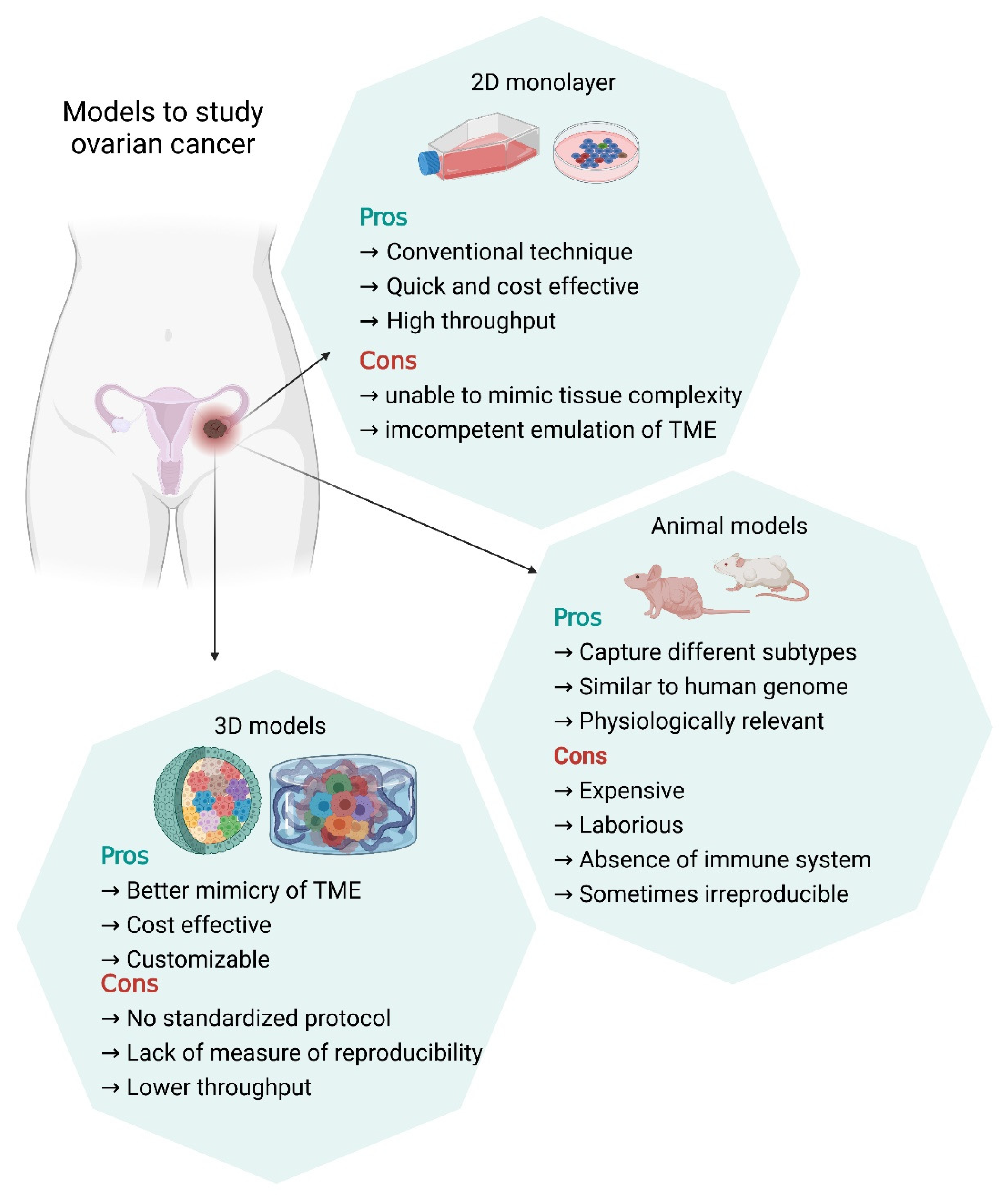 Cells 10 02272 g002 Cells 10 02272 g002