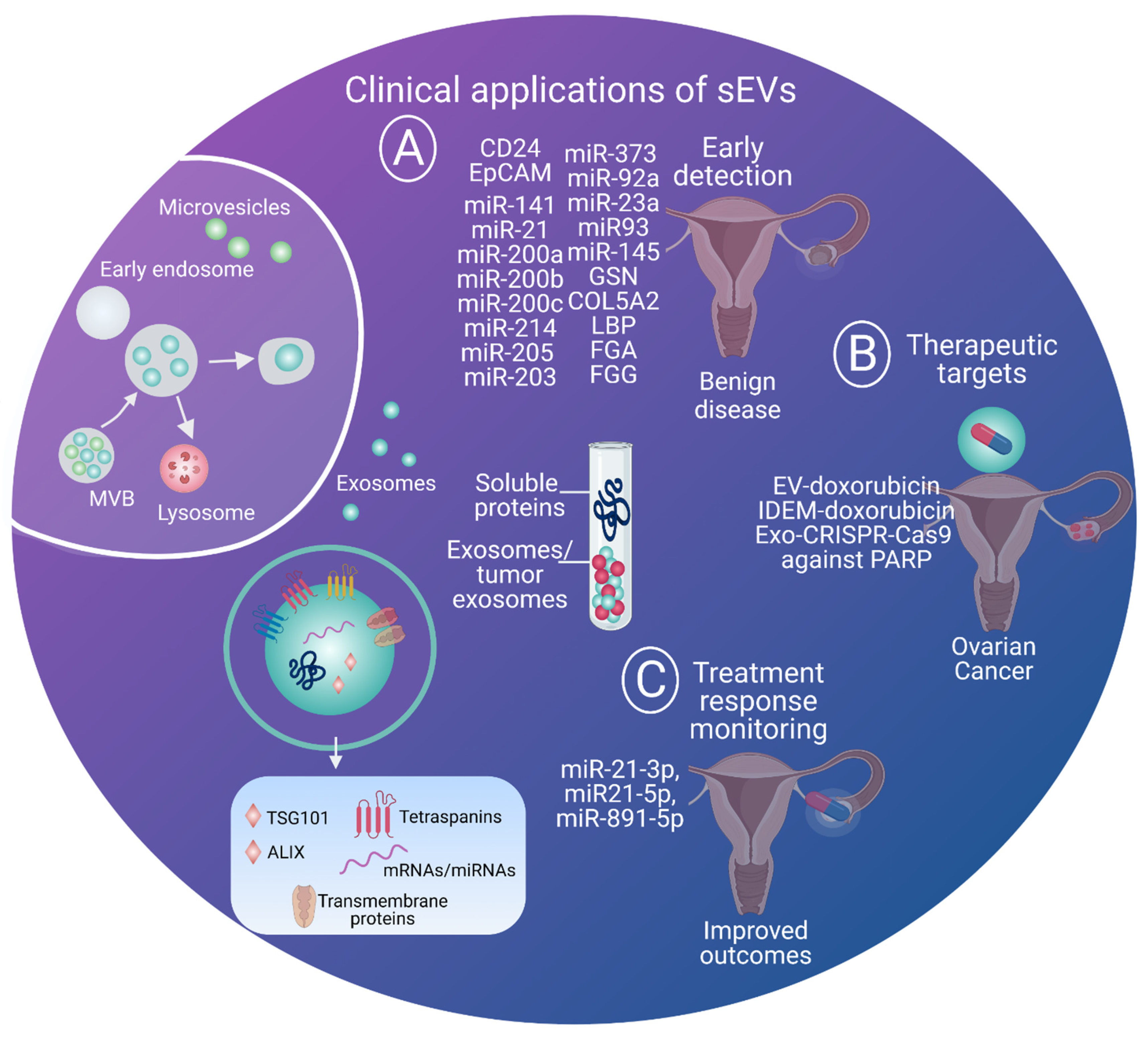 Cells 10 02272 g003 Cells 10 02272 g003