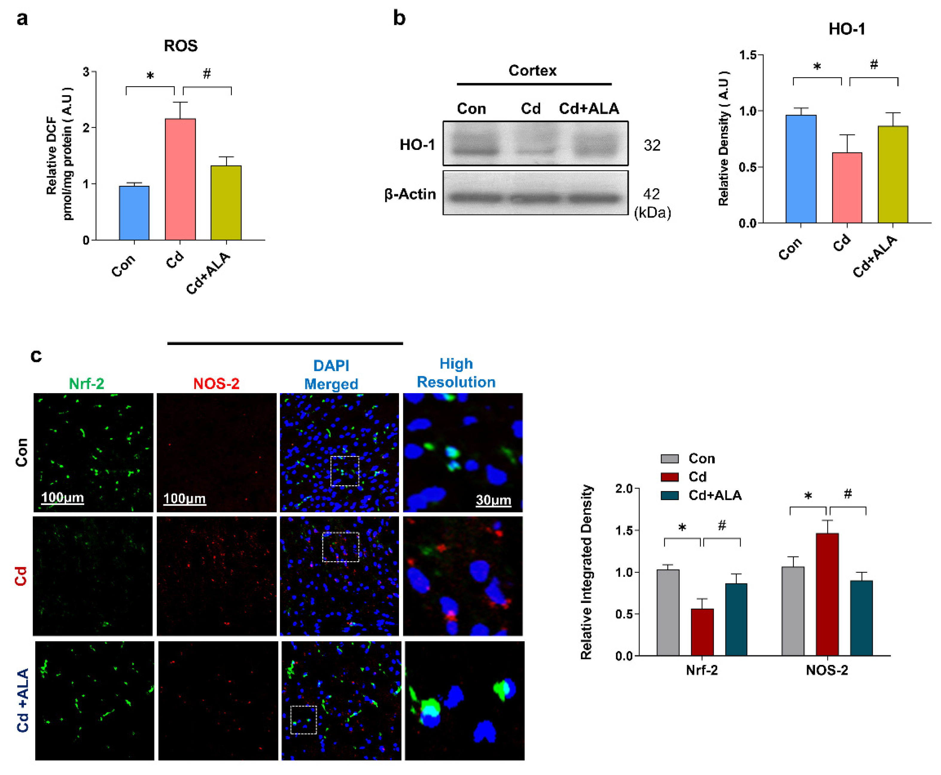Cells 10 02274 g001 Cells 10 02274 g001
