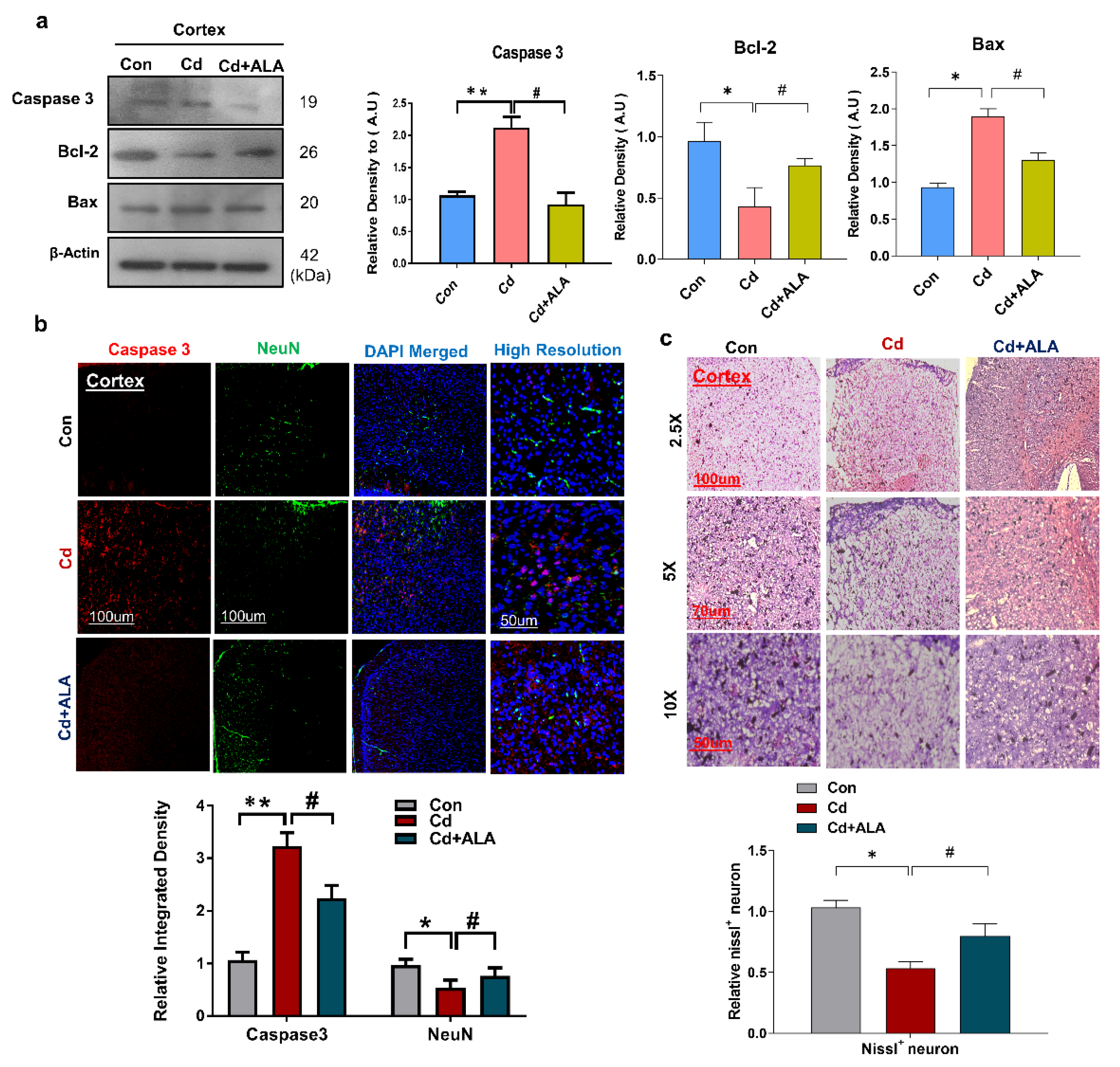 Cells 10 02274 g005 Cells 10 02274 g005