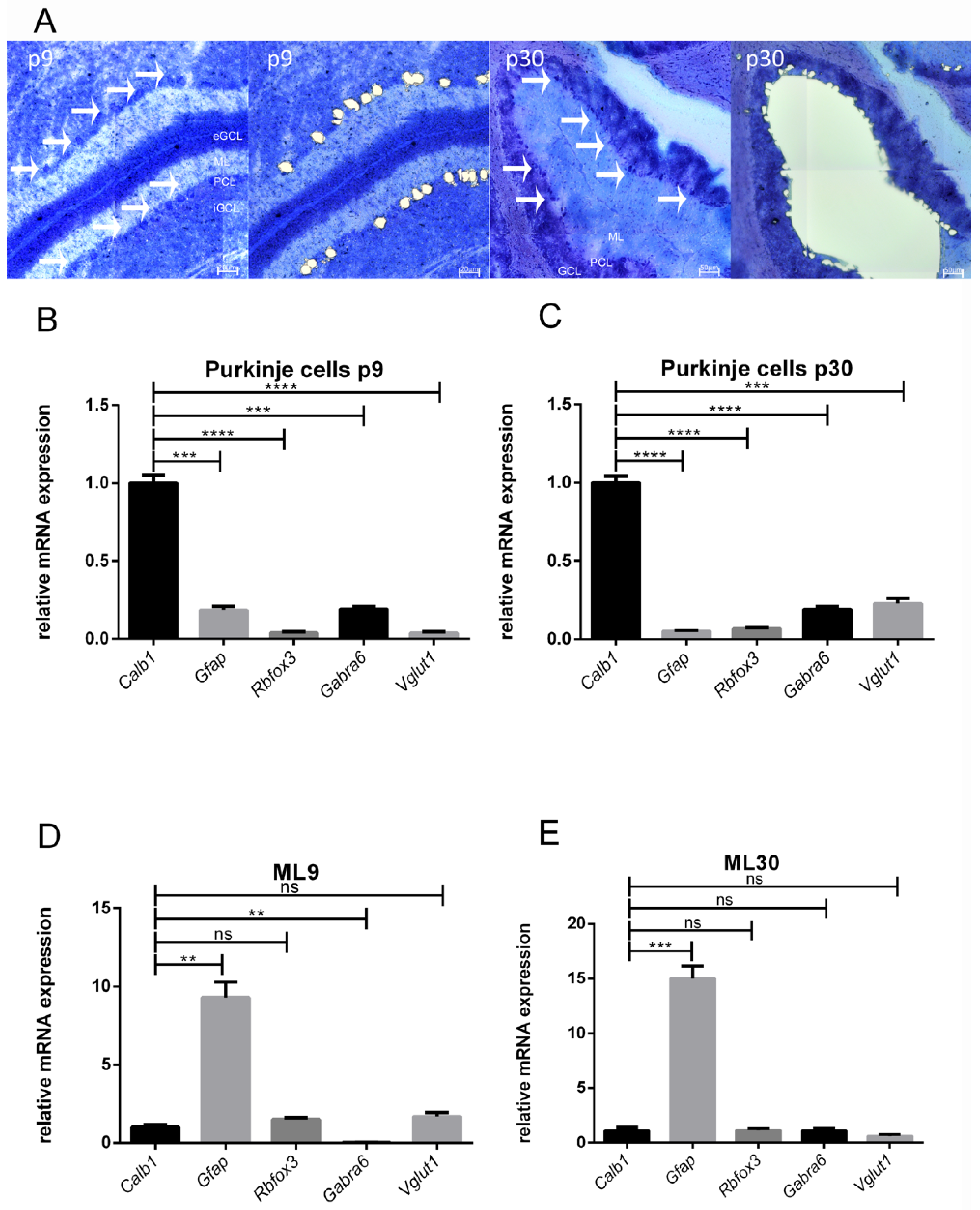 Cells 10 02277 g001 Cells 10 02277 g001
