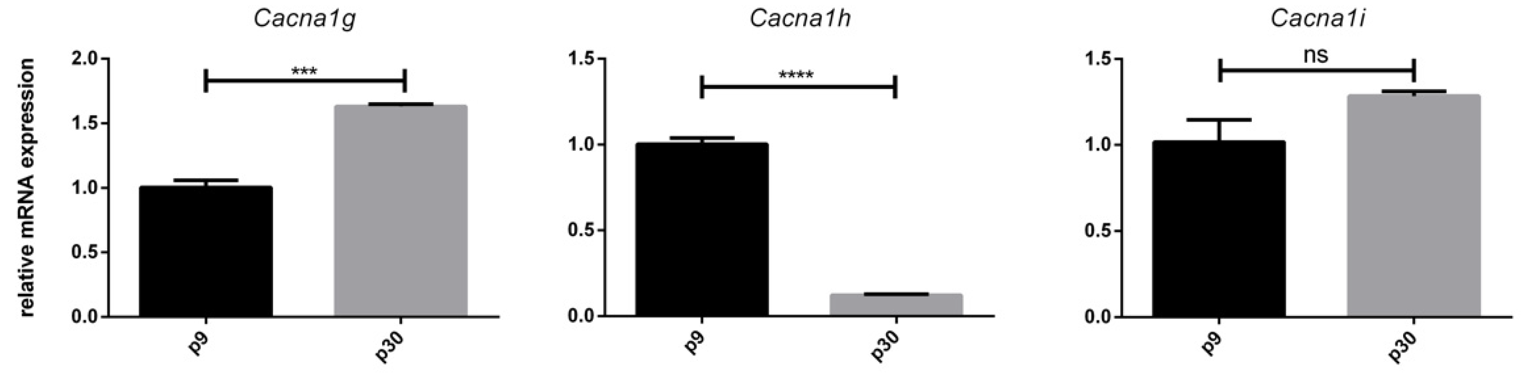 Cells 10 02277 g003 Cells 10 02277 g003