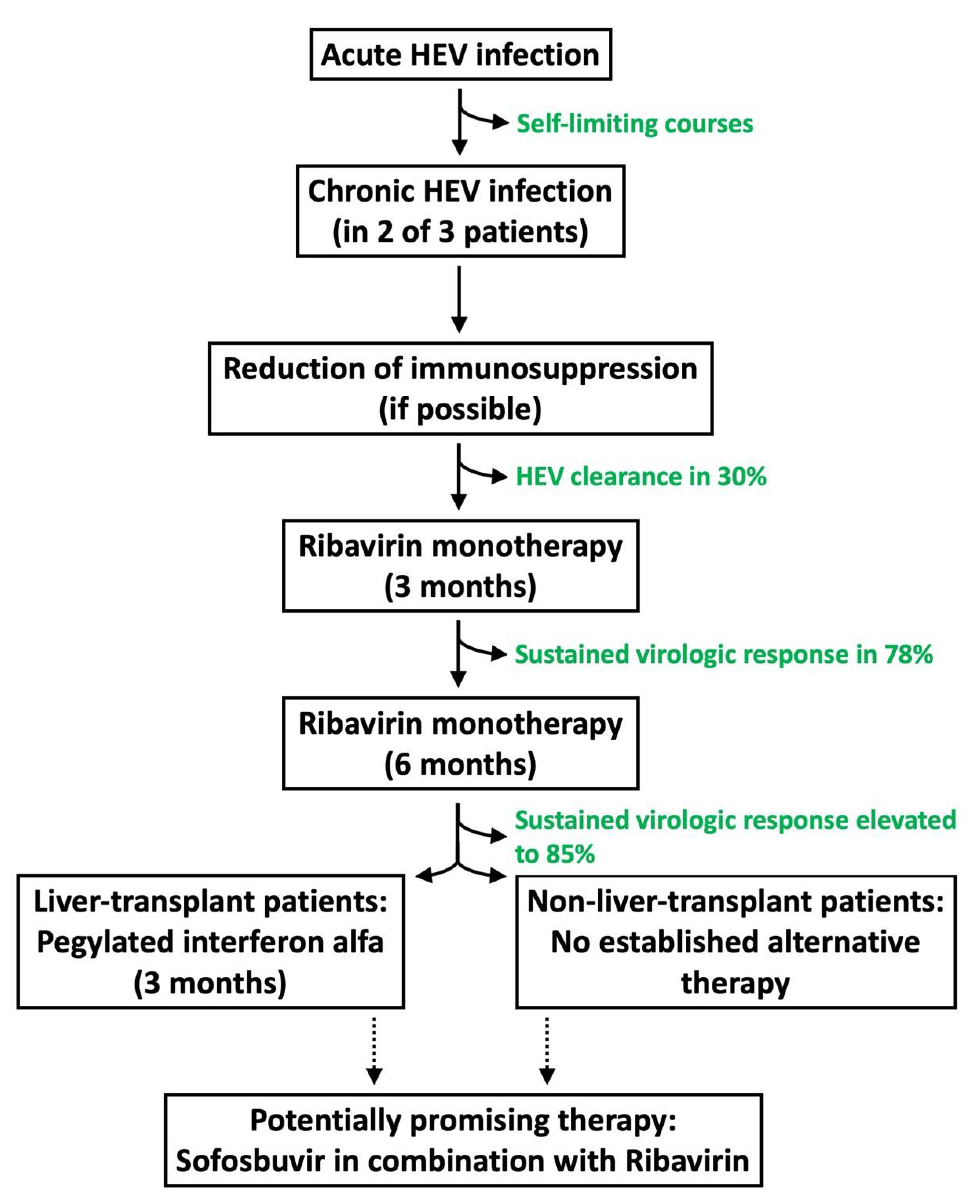 Cells 10 02281 g002 Cells 10 02281 g002