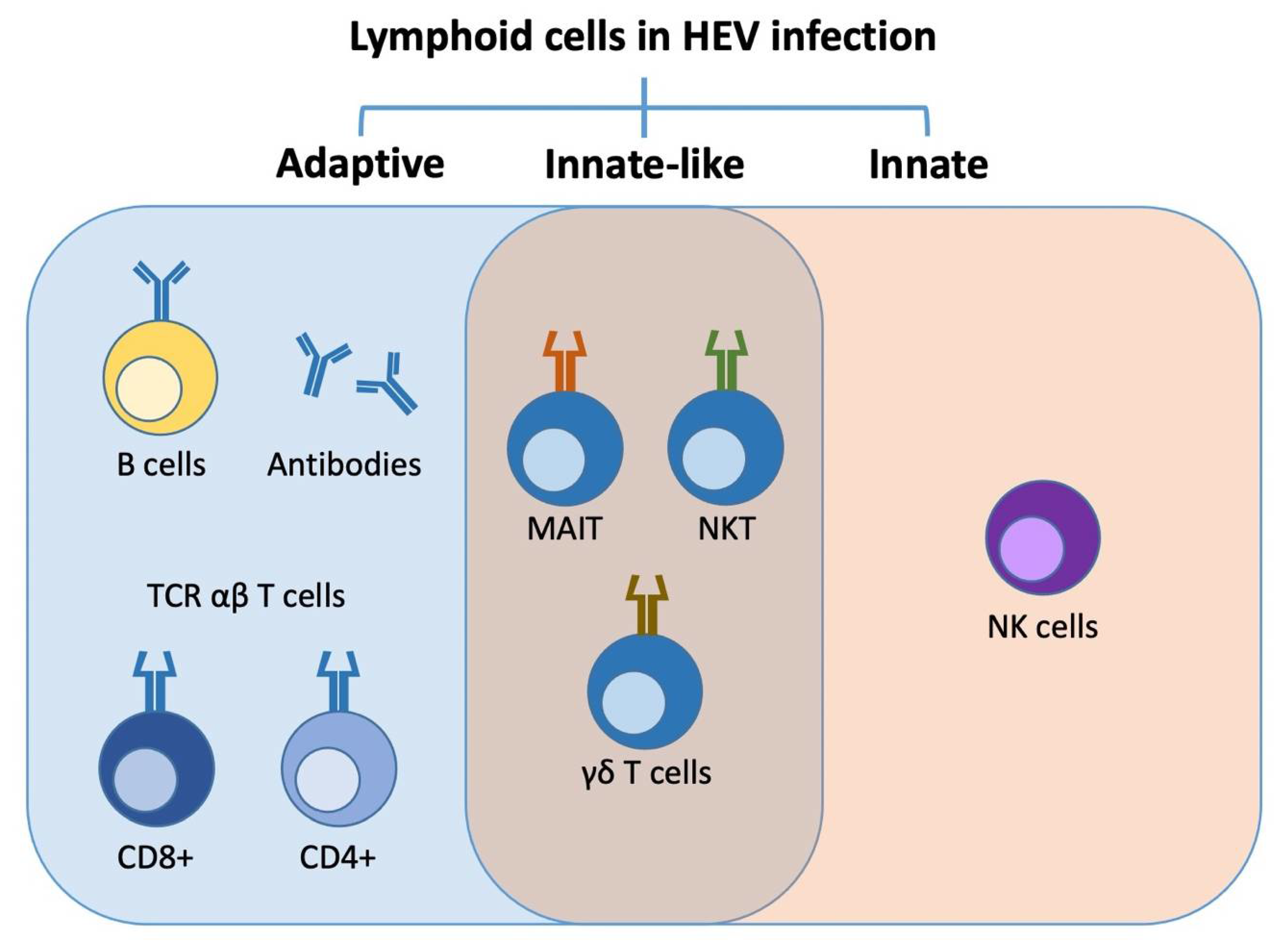 Cells 10 02281 g003 Cells 10 02281 g003