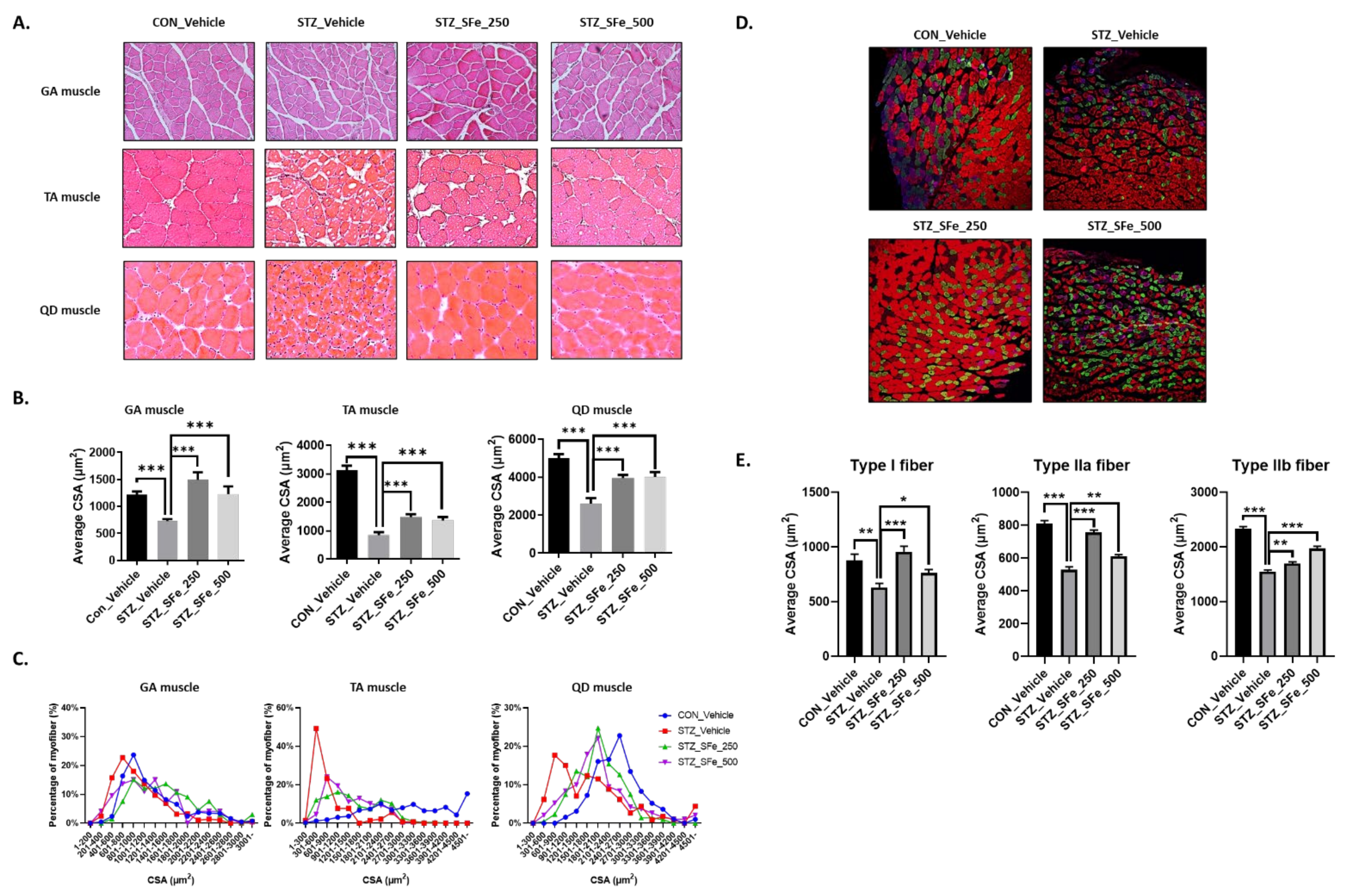 Cells 10 02283 g003 550