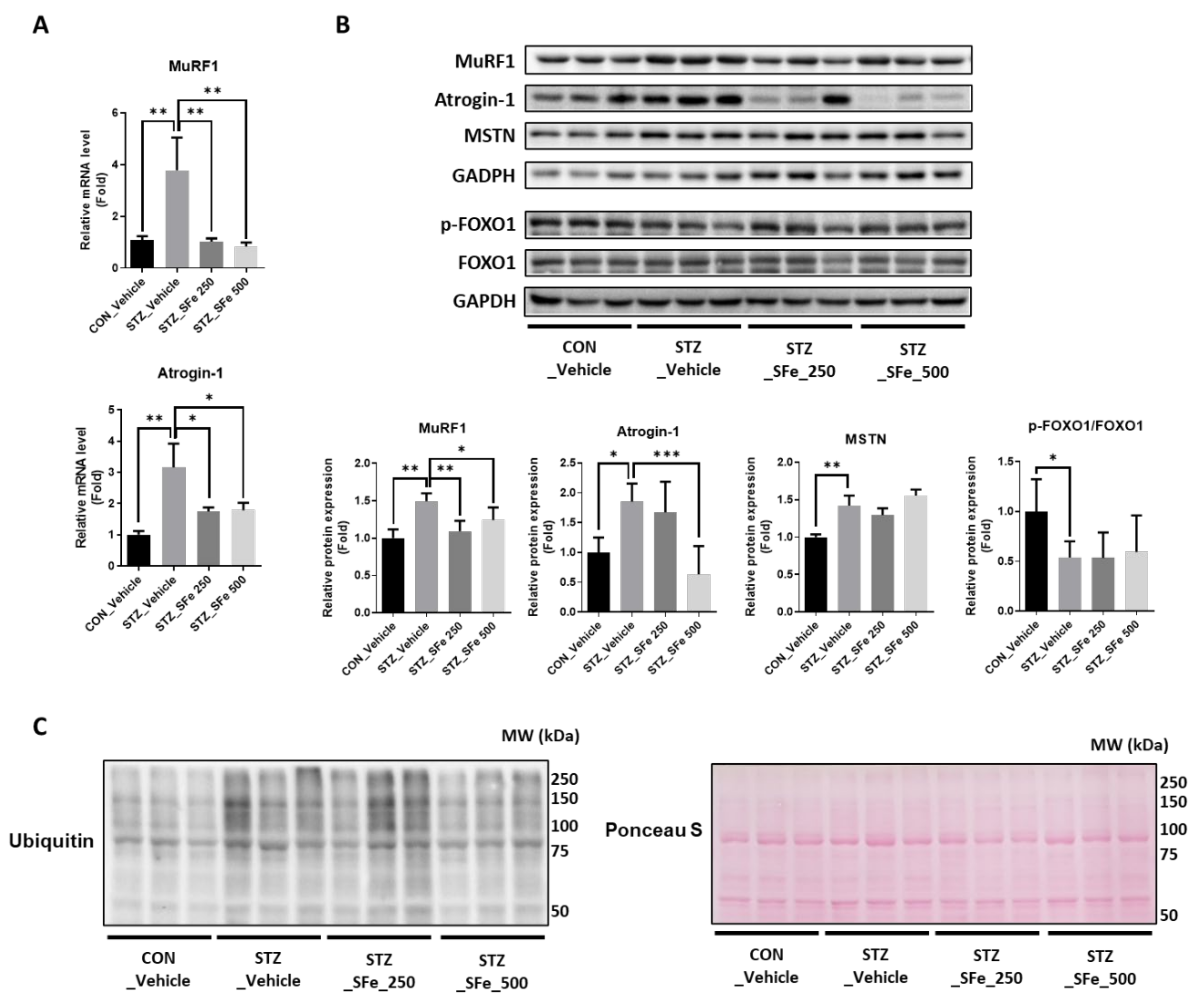 Cells 10 02283 g004 550