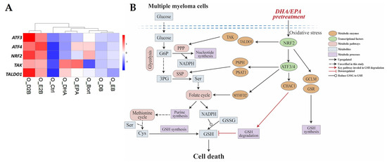 glutathione reductase gssg Thioredoxin Glutathione Reductase from Schistosoma mansoni: An Essential  Parasite Enzyme and a Key Drug Target