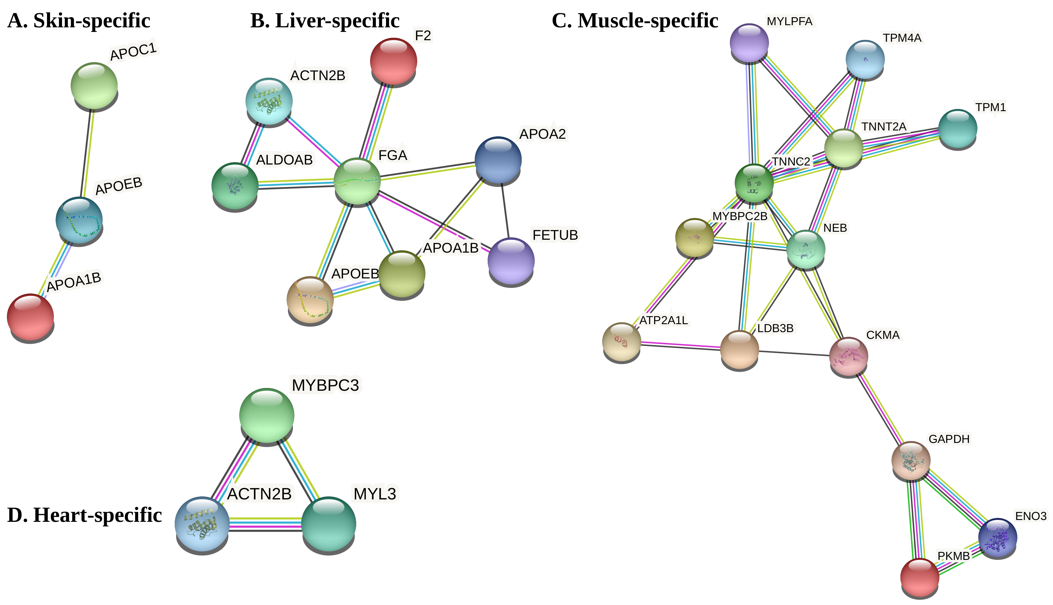 Cells 10 02289 g006 Cells 10 02289 g006