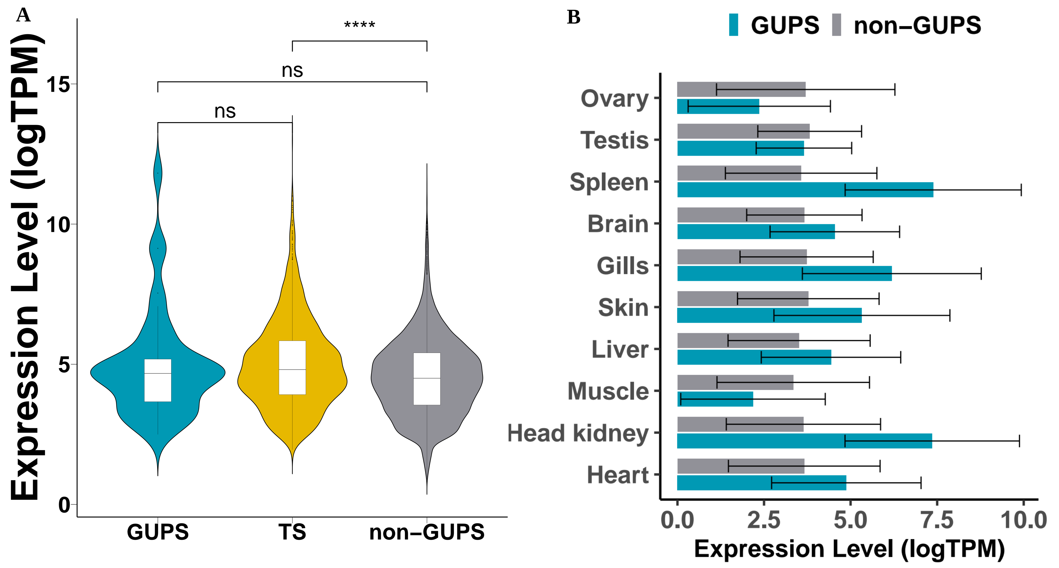 Cells 10 02289 g007 Cells 10 02289 g007