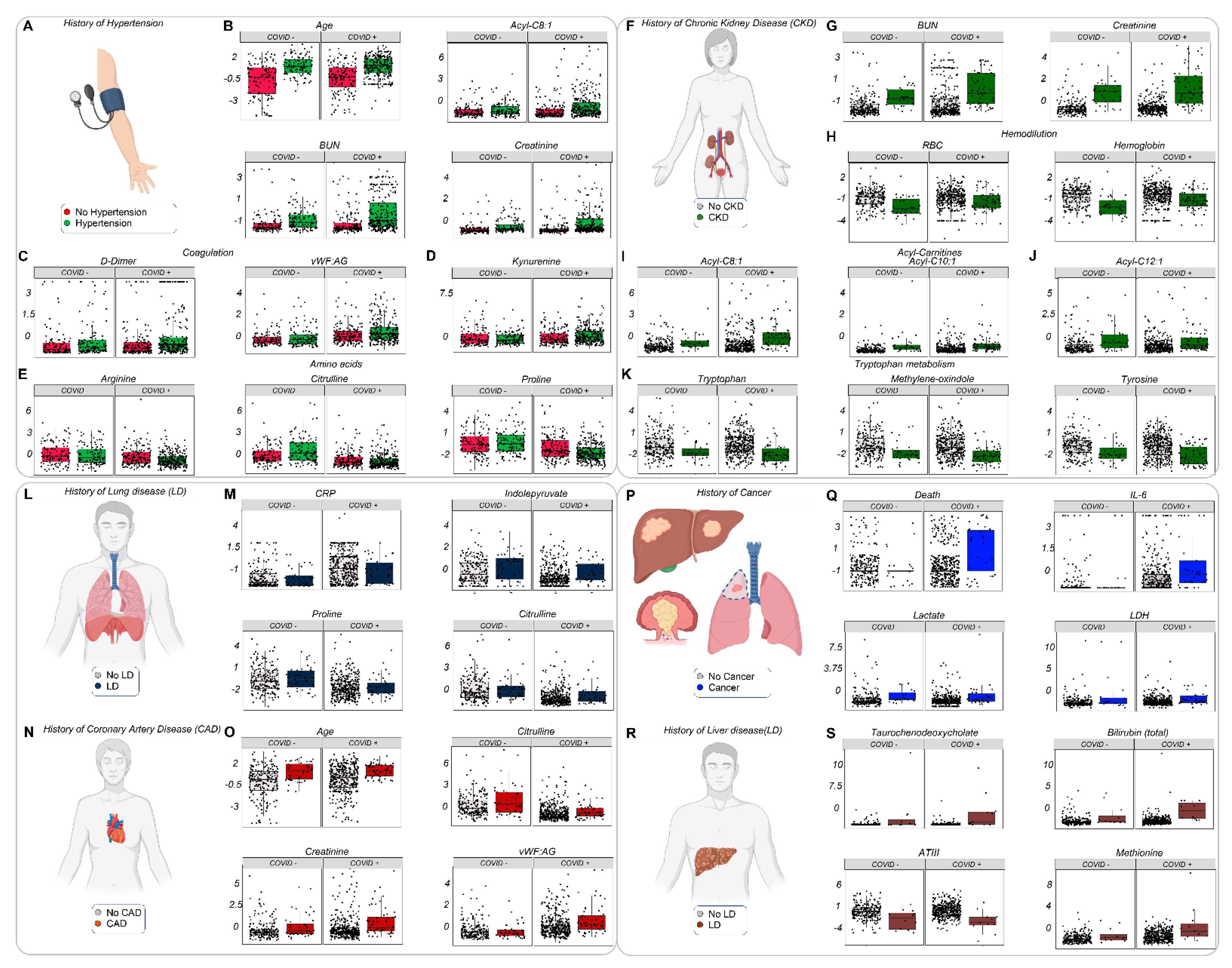 Cells 10 02293 g007 550