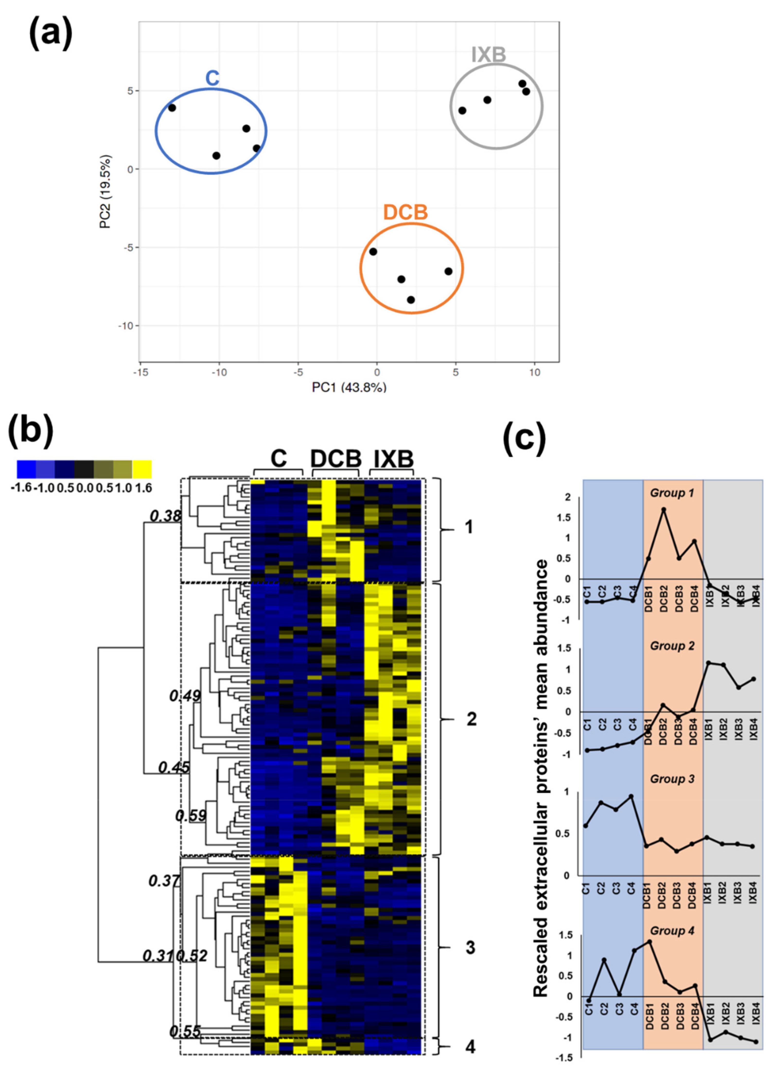 Cells 10 02295 g005 550