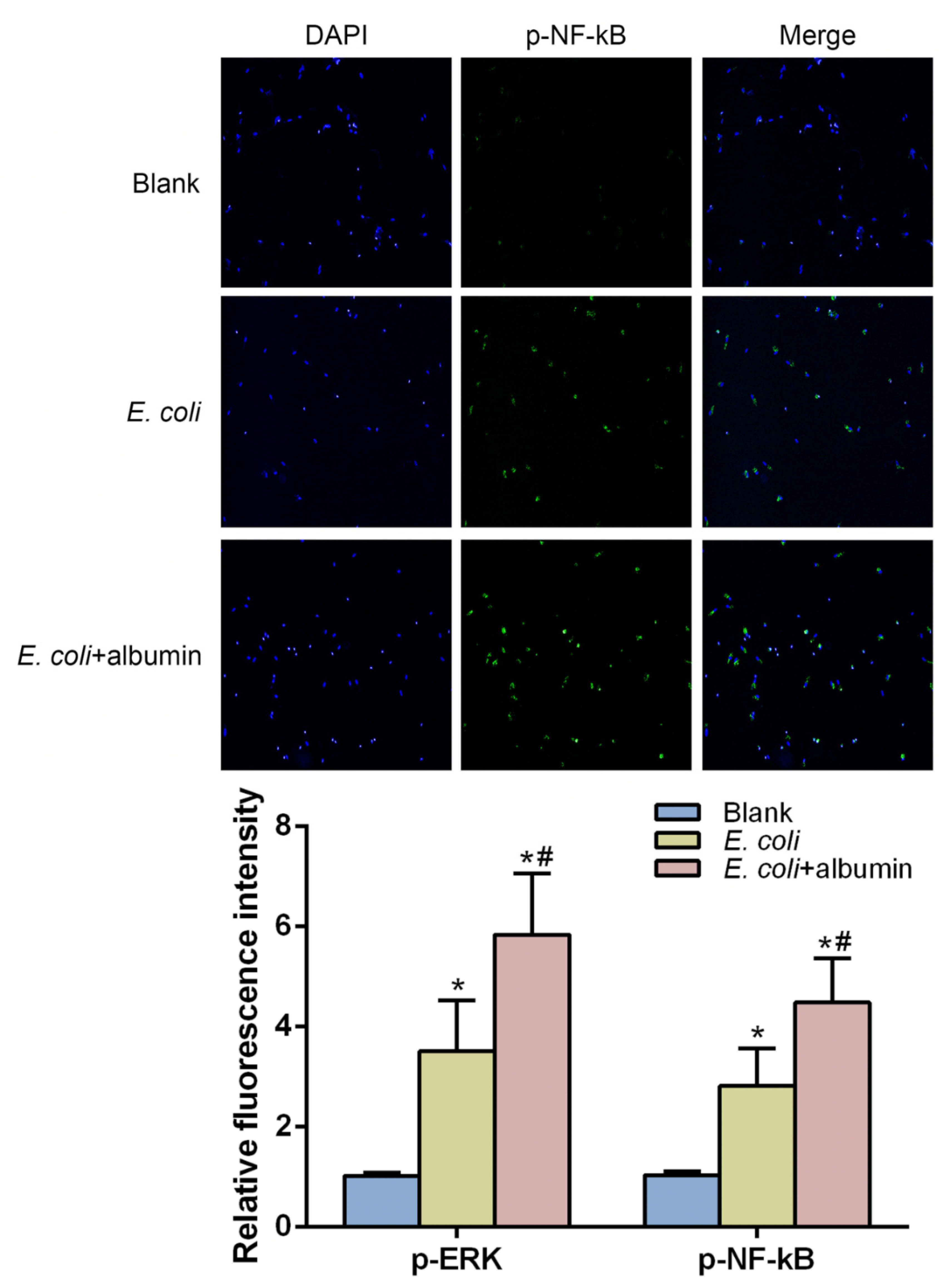 Cells 10 02298 g004 Cells 10 02298 g004