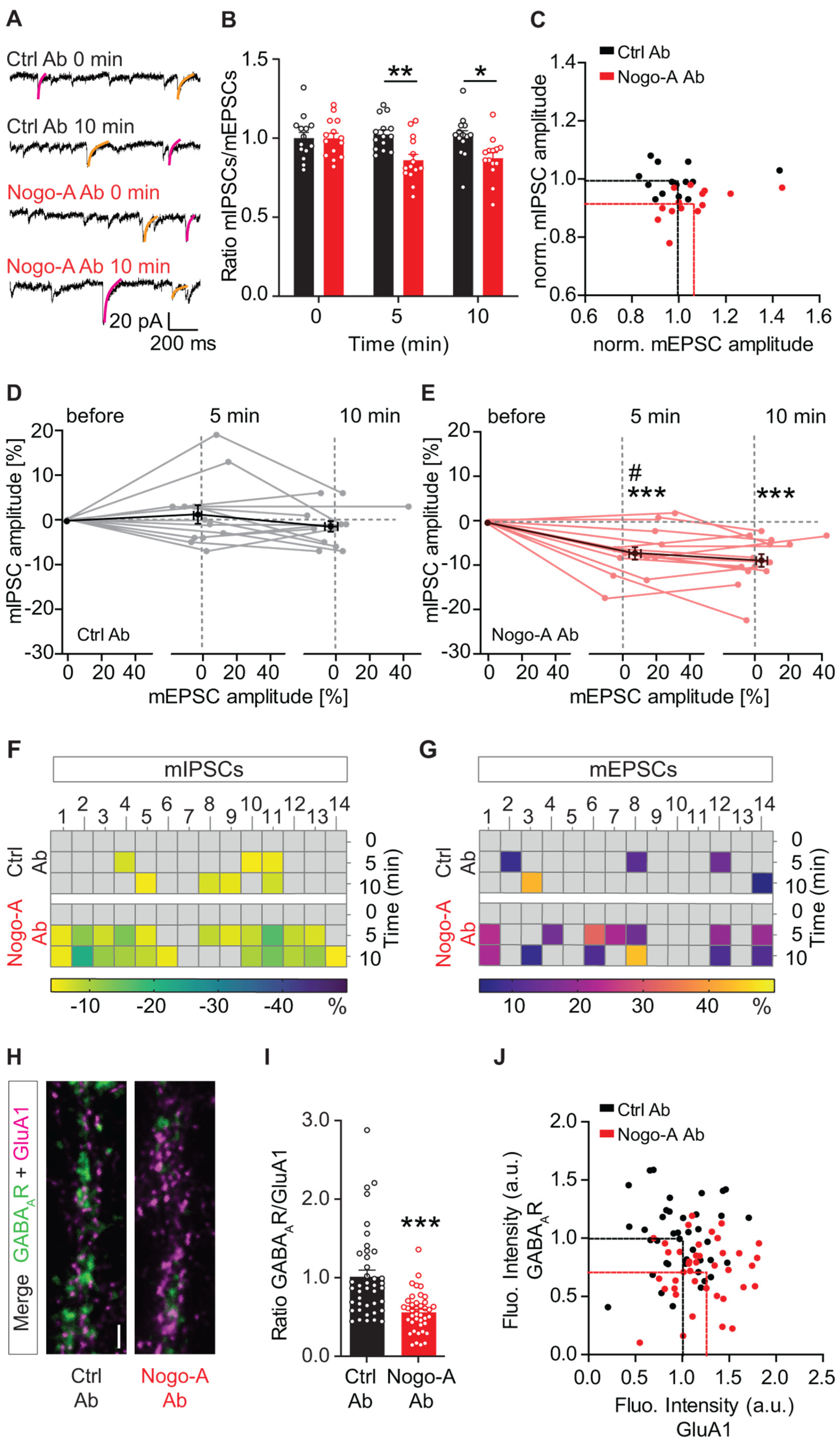 Cells 10 02299 g001 550