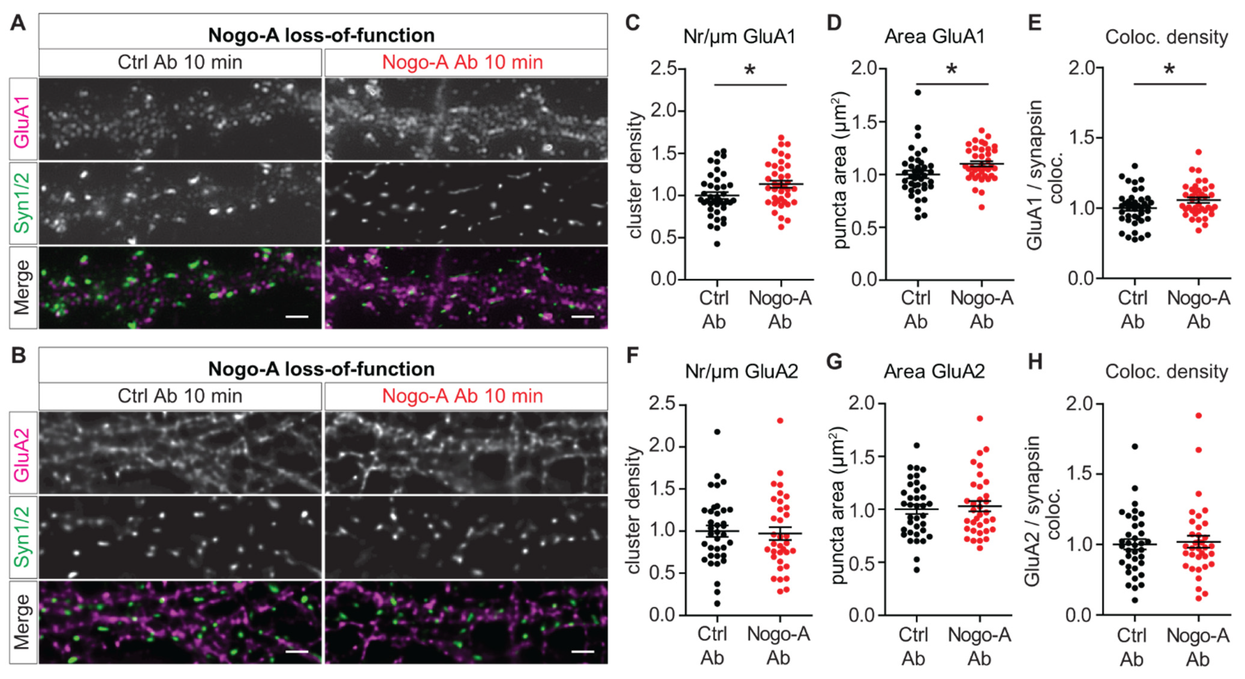Cells 10 02299 g002 550