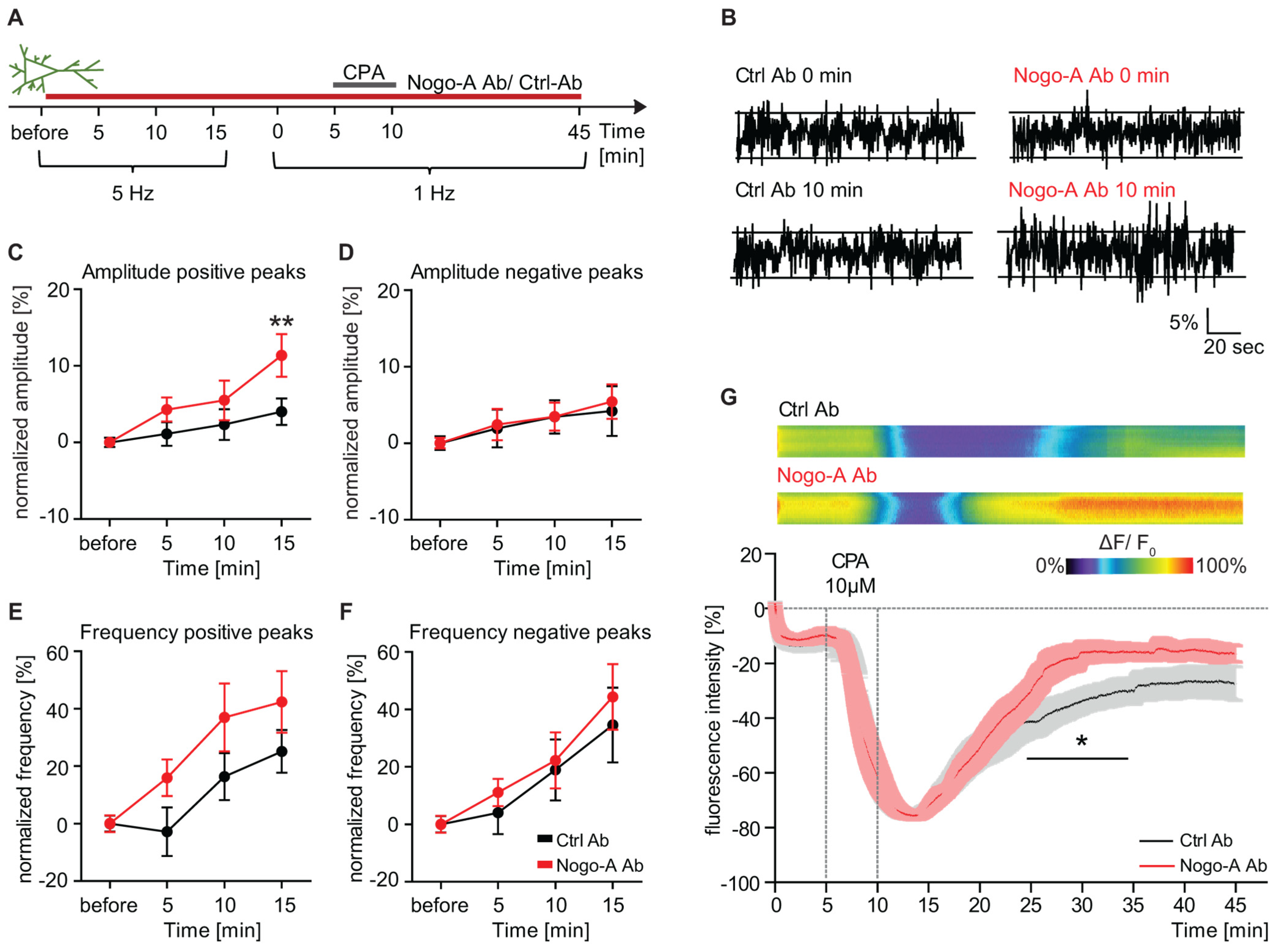 Cells 10 02299 g004 550
