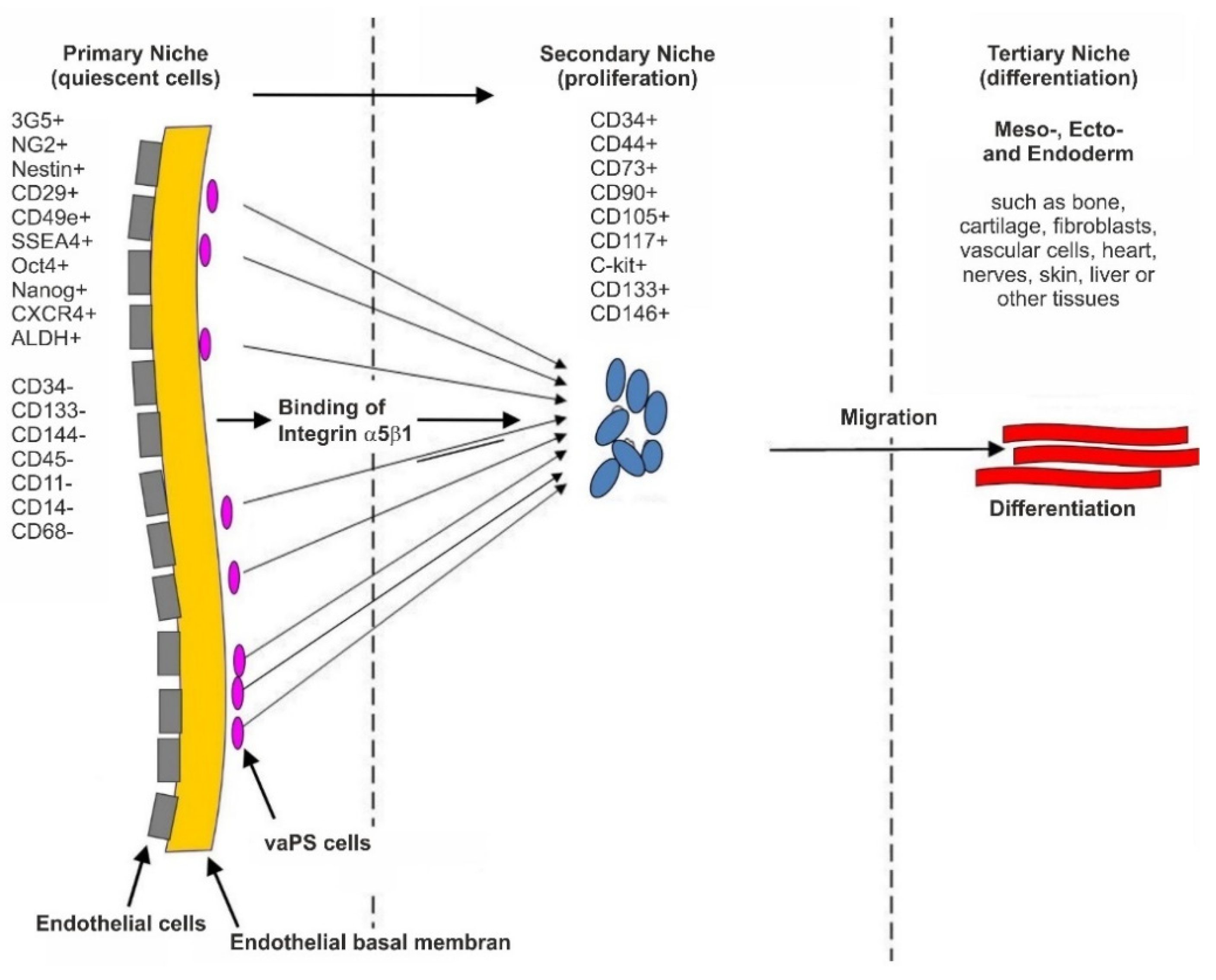 Cells 10 02303 g006