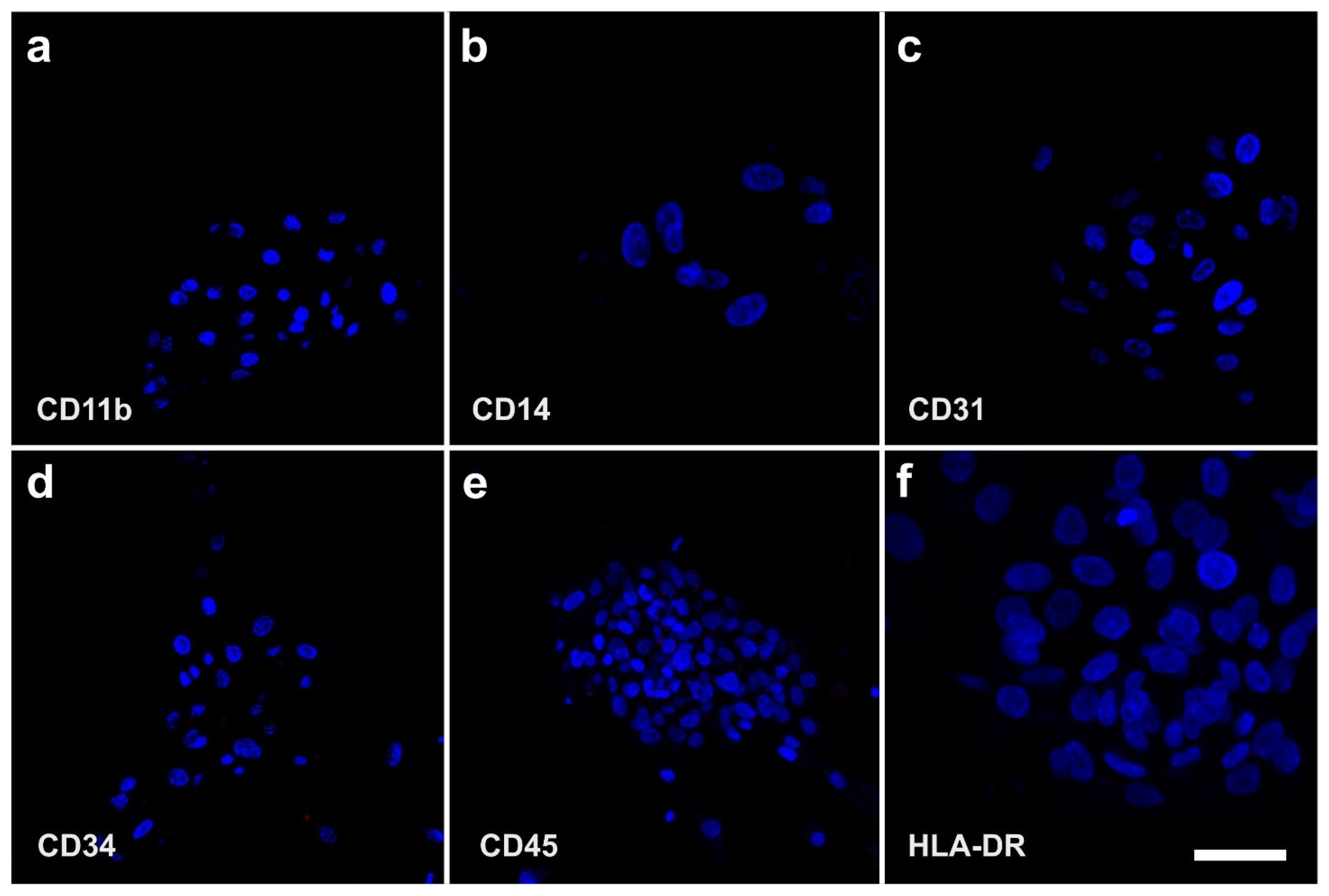 Cells 10 02303 g009