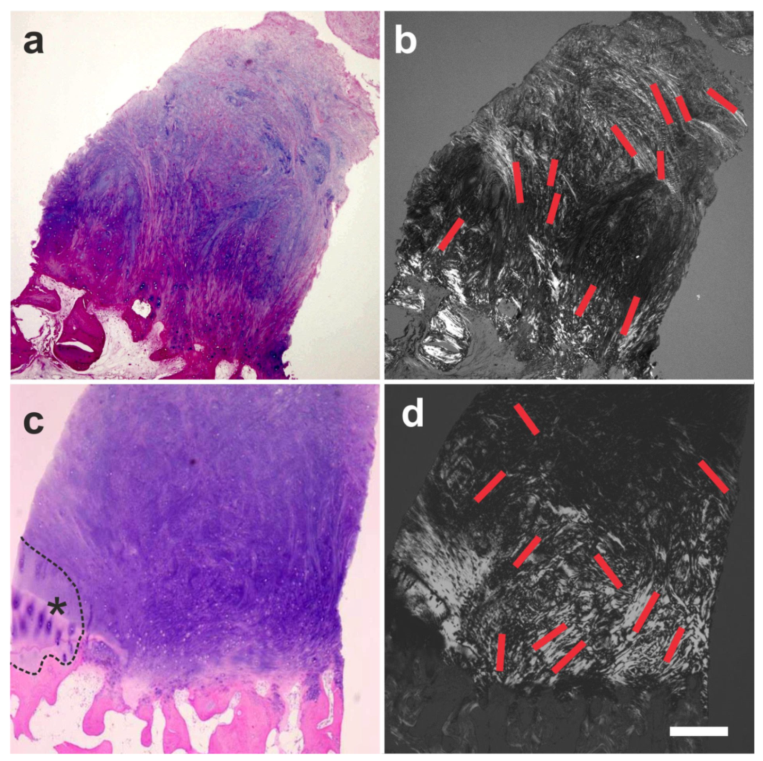 Cells 10 02303 g029