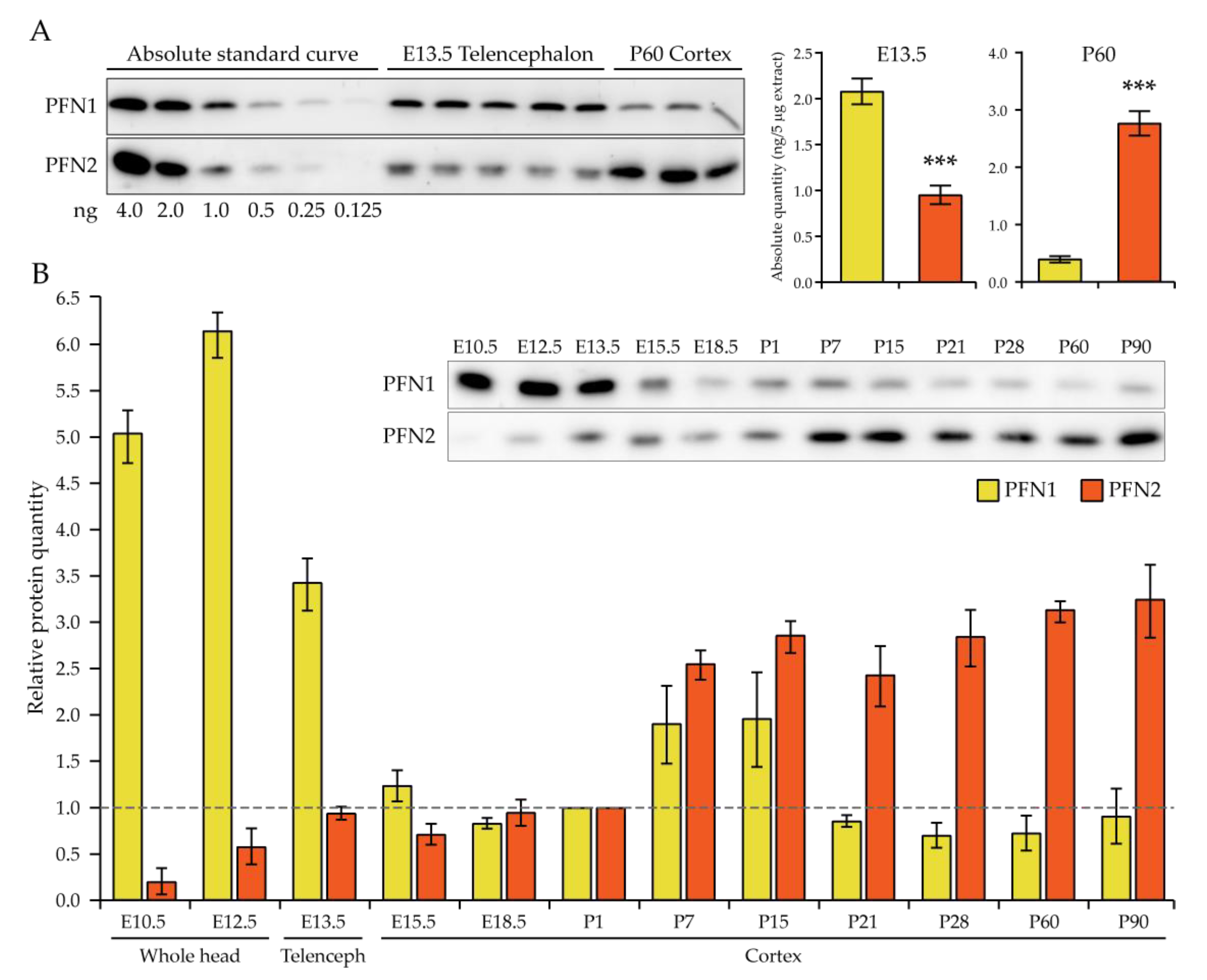 Cells 10 02310 g001
