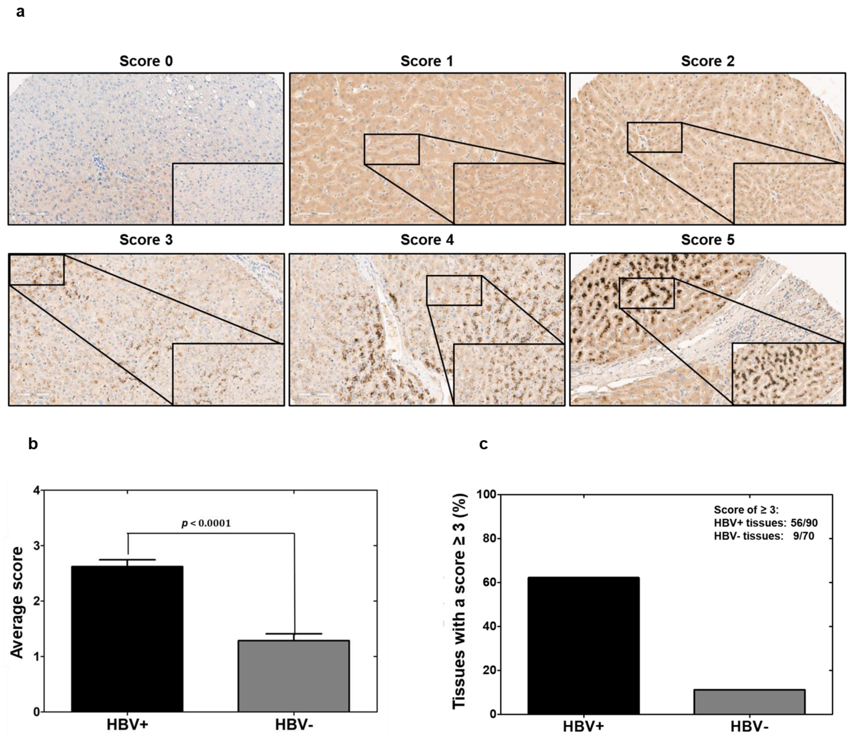 Cells 10 02321 g004 Cells 10 02321 g004