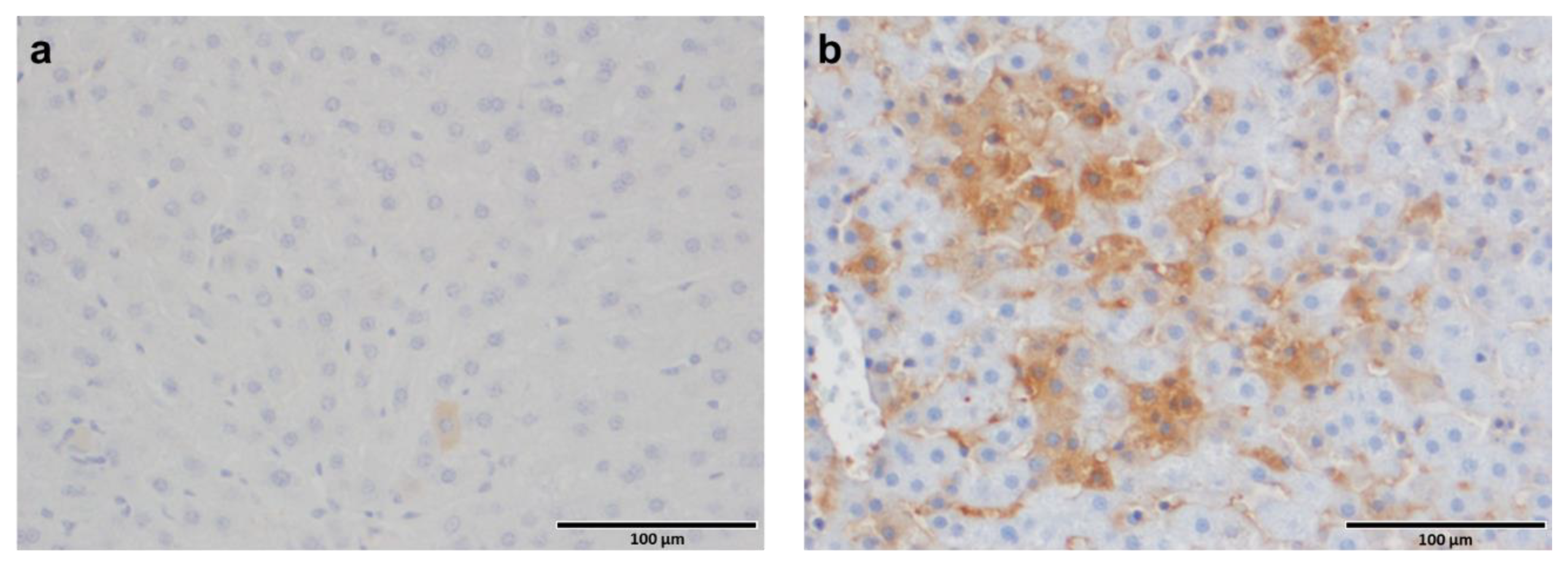 Cells 10 02321 g006 Cells 10 02321 g006