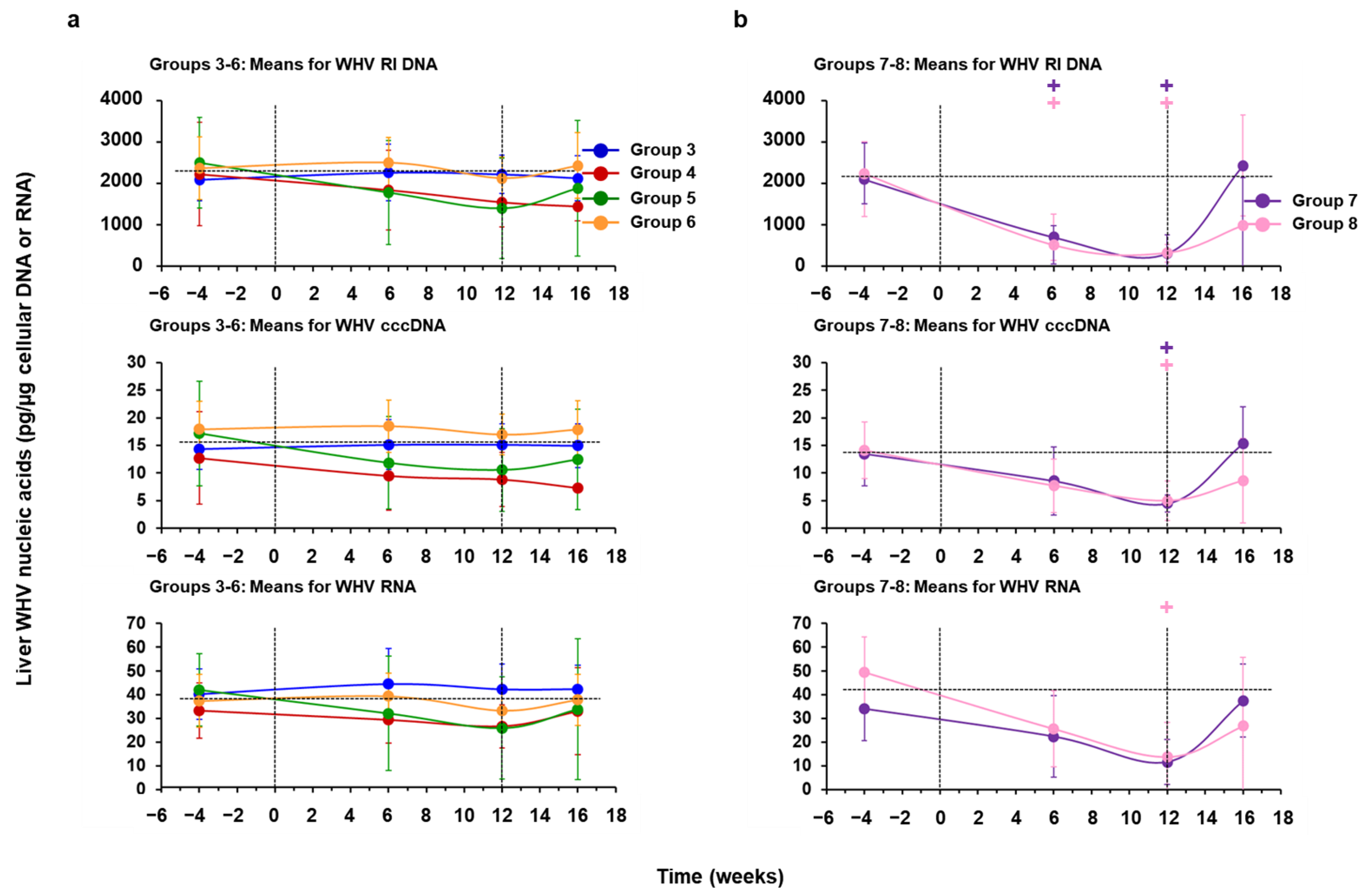 Cells 10 02321 g009 Cells 10 02321 g009