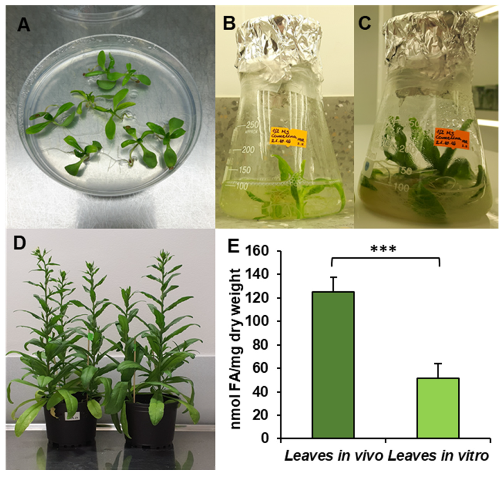 Cells 10 02326 g001 550