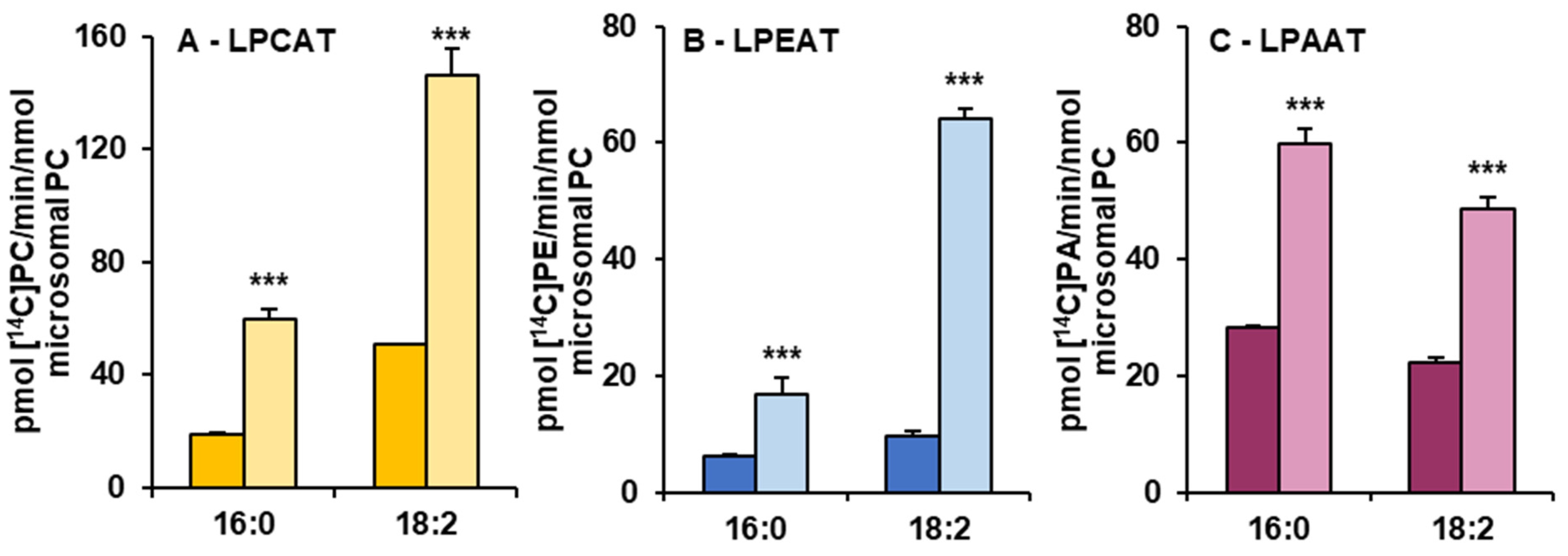 Cells 10 02326 g004 550