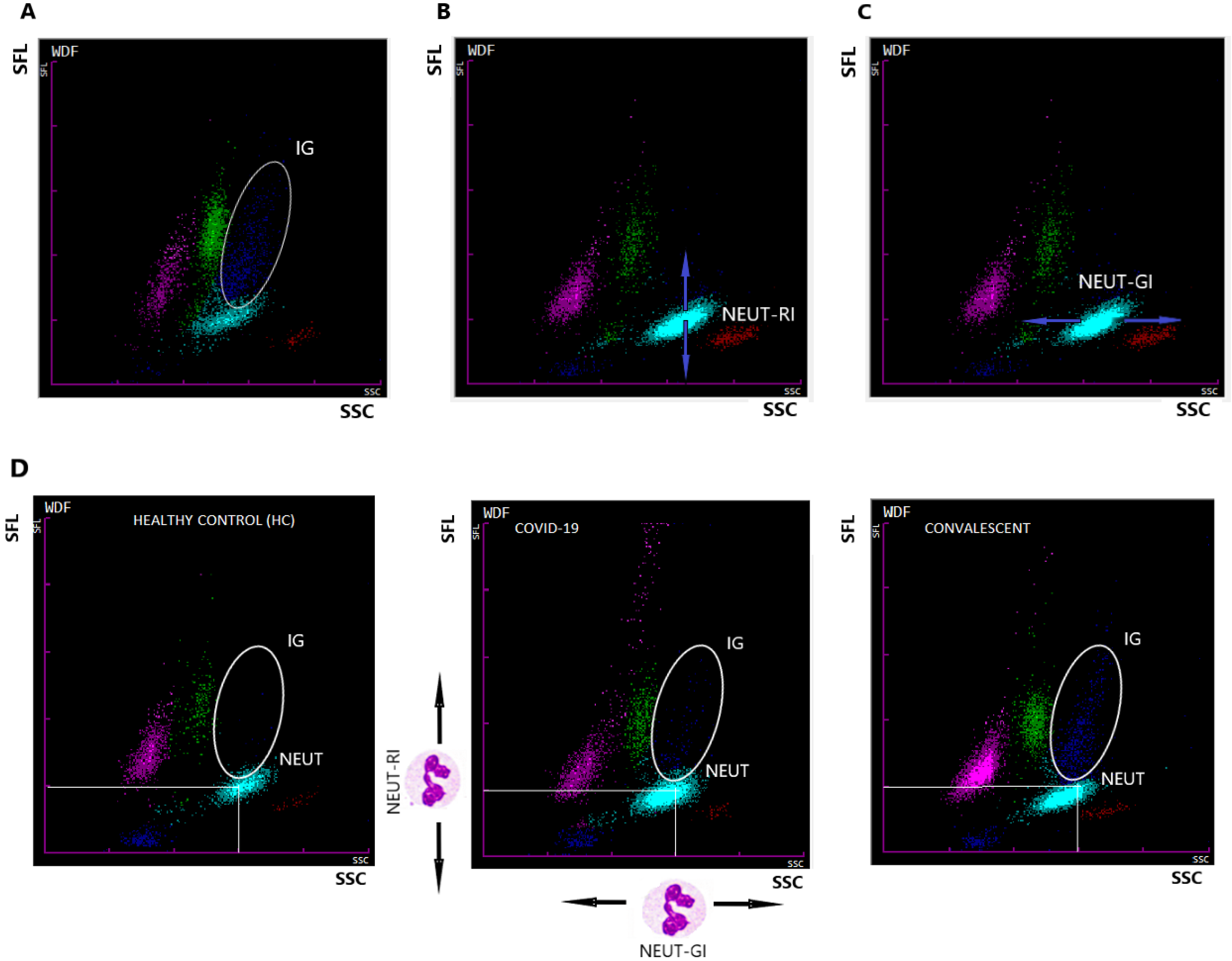 Cells 10 02332 g0a1 550