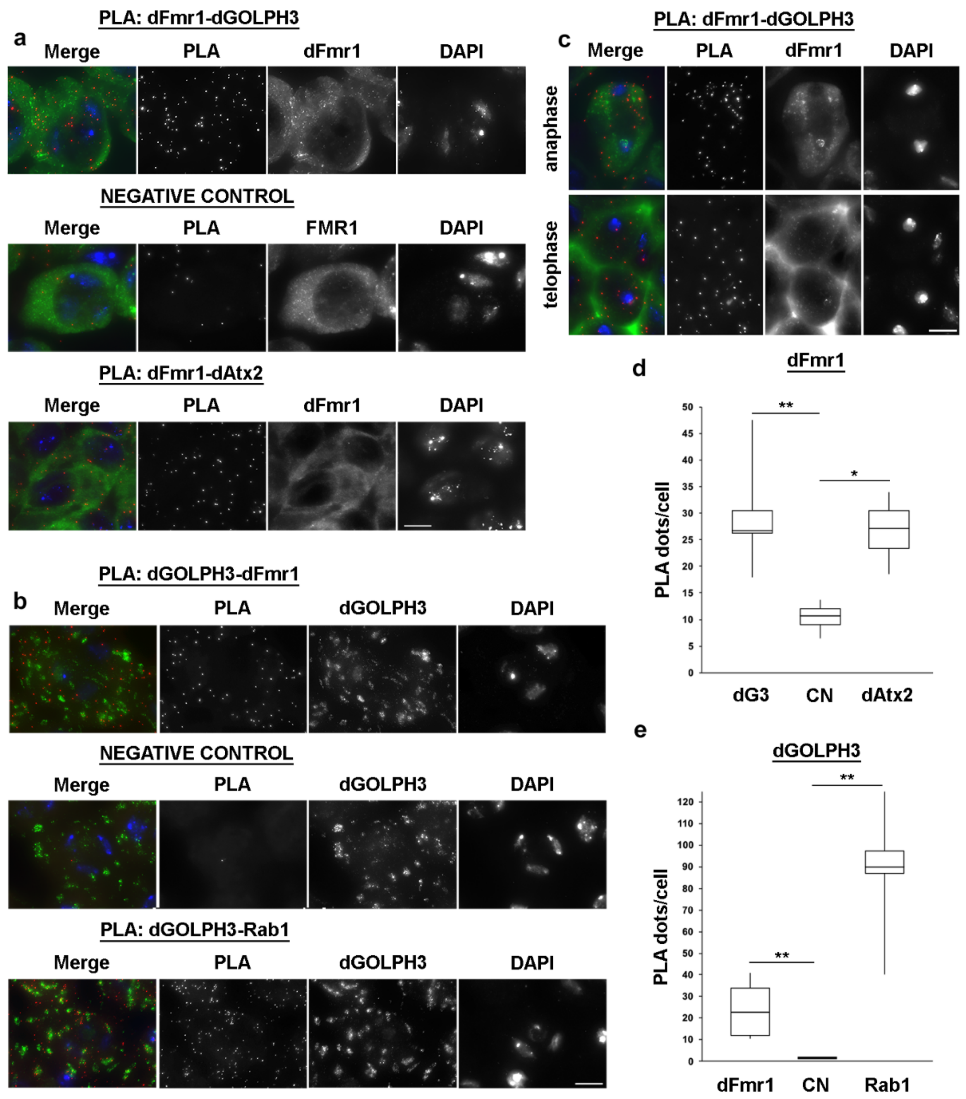 Cells 10 02336 g008 Cells 10 02336 g008