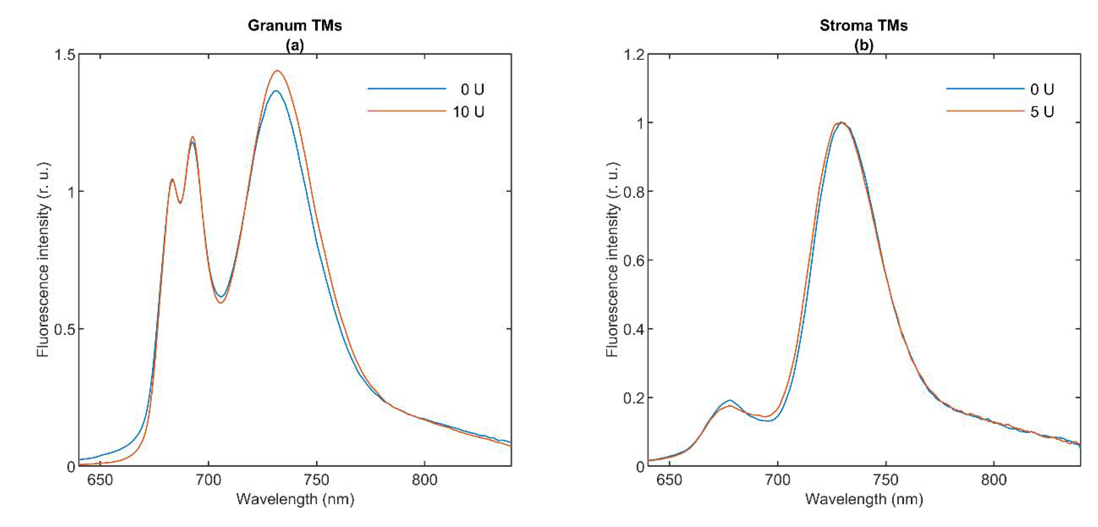 Cells 10 02363 g002 Cells 10 02363 g002