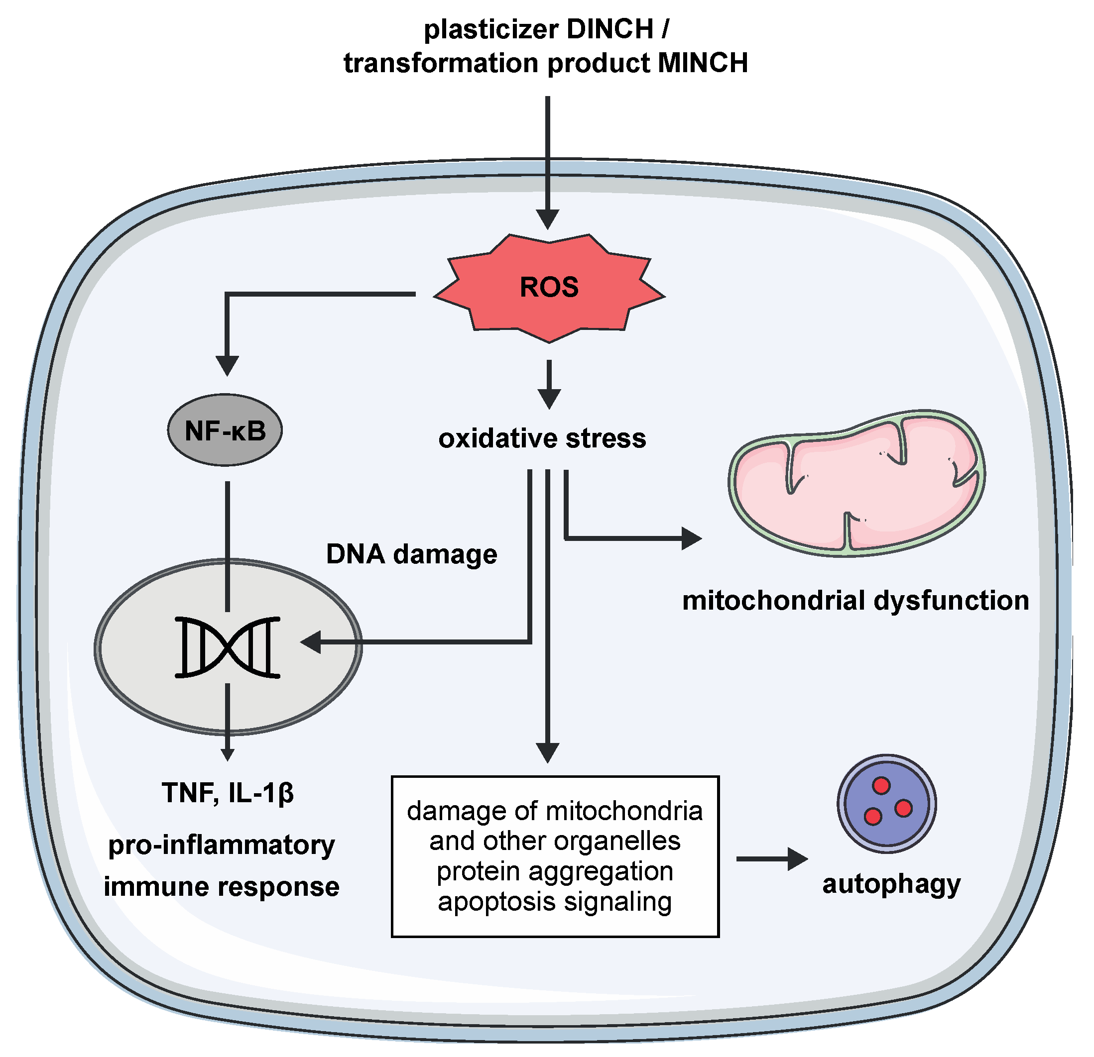 Cells 10 02367 g005 Cells 10 02367 g005