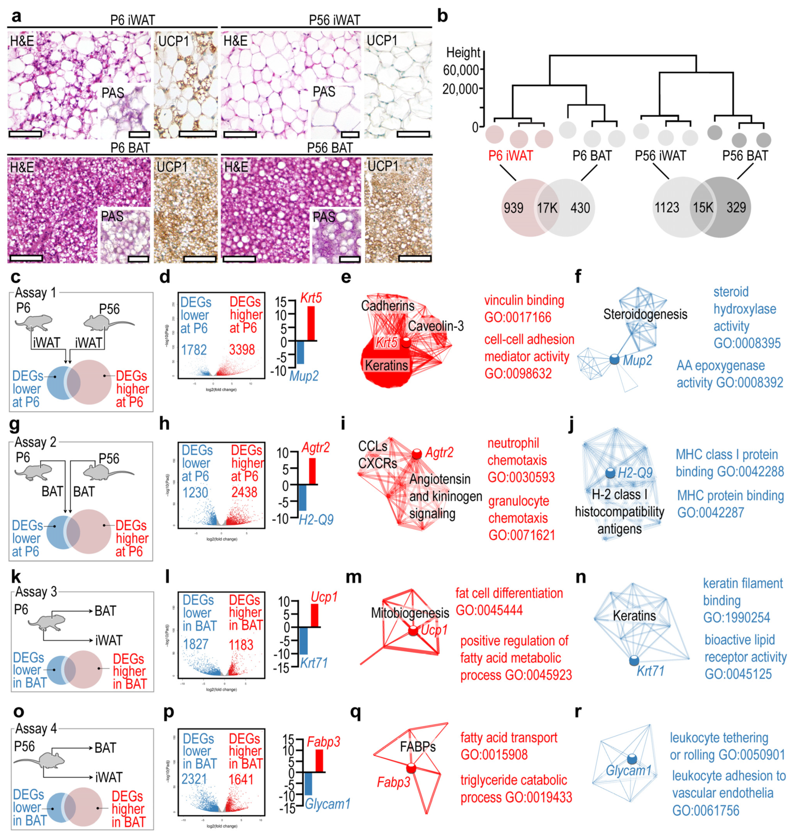 Cells 10 02368 g001 Cells 10 02368 g001