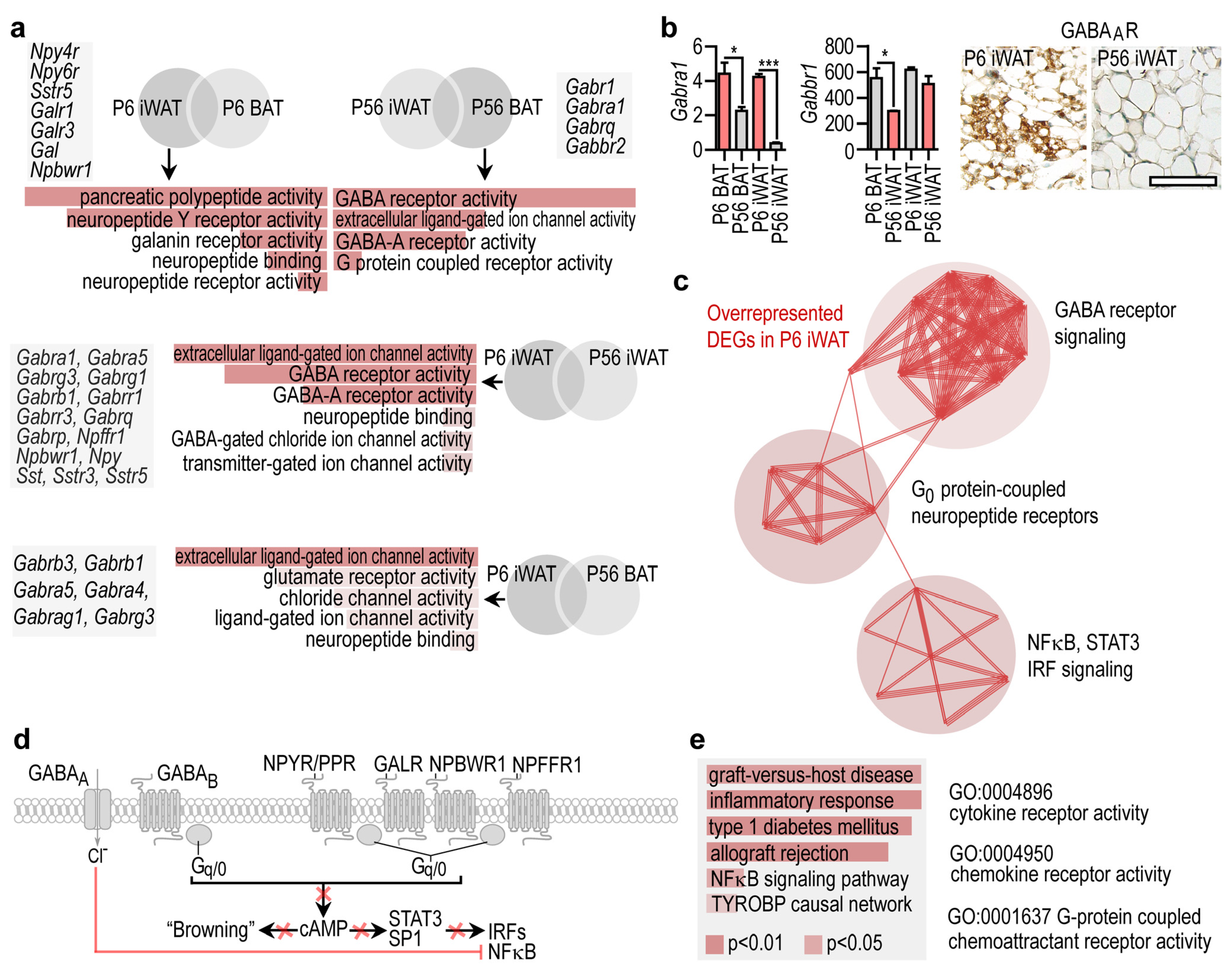 Cells 10 02368 g003 Cells 10 02368 g003