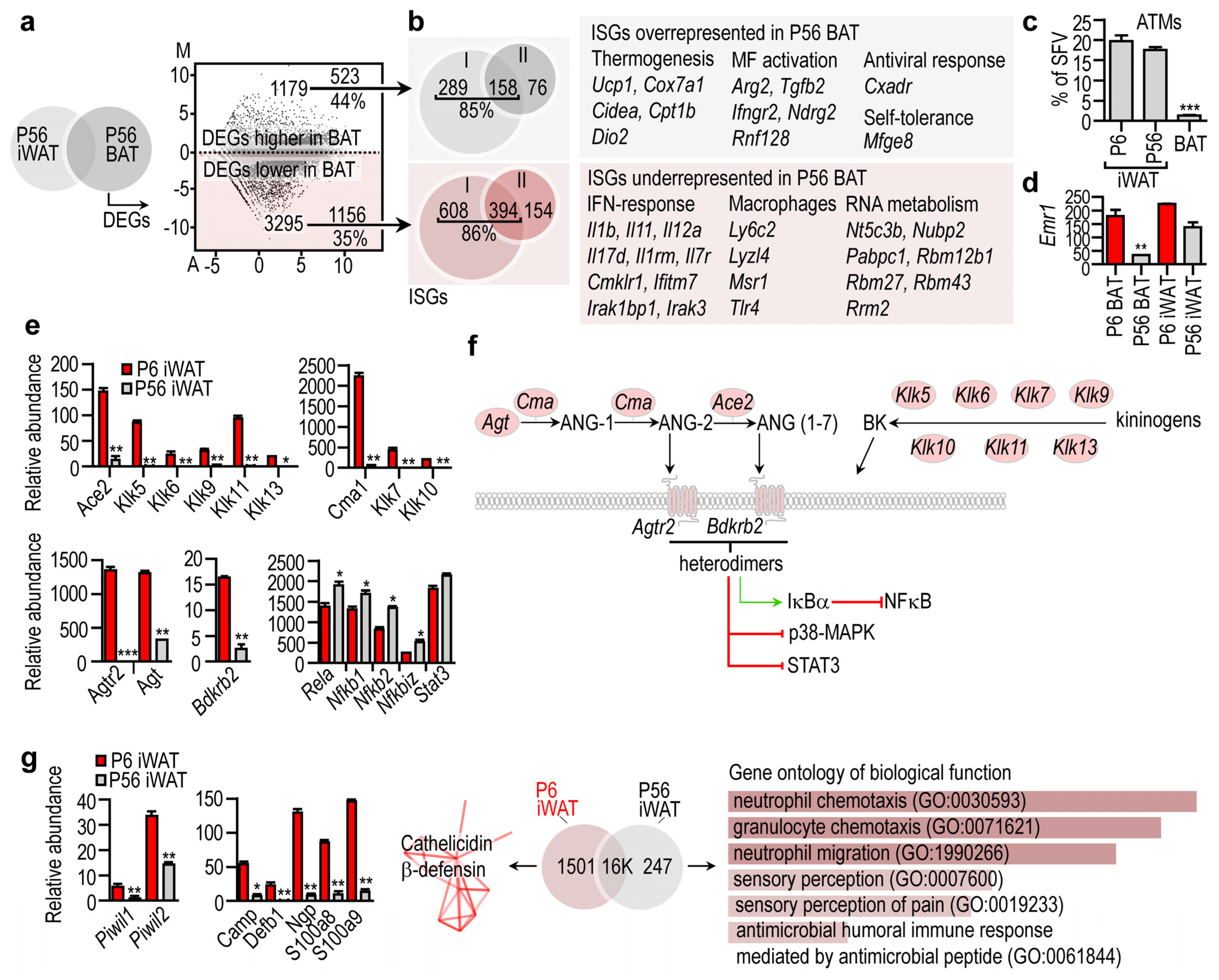 Cells 10 02368 g004 Cells 10 02368 g004
