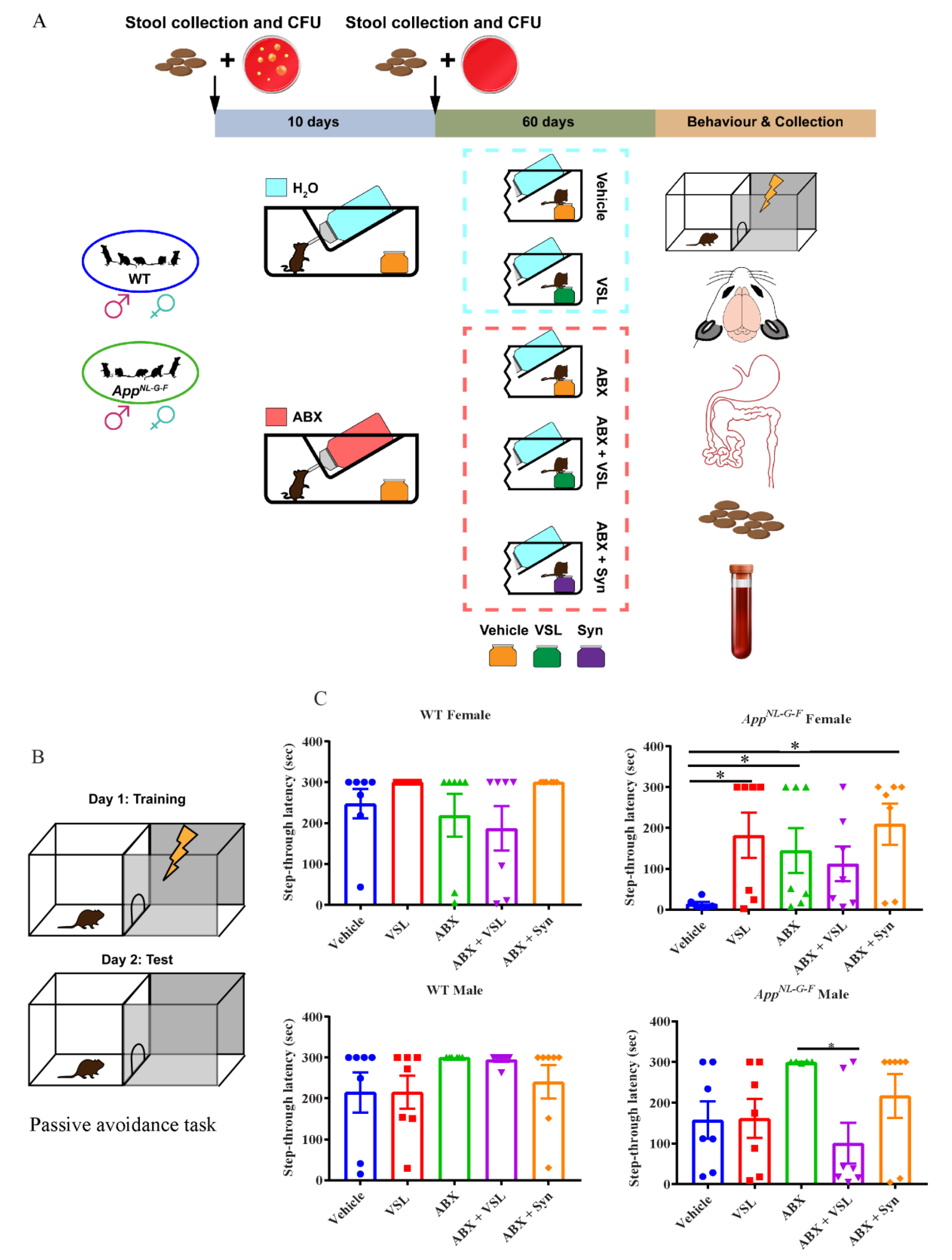 Cells 10 02370 g001 550