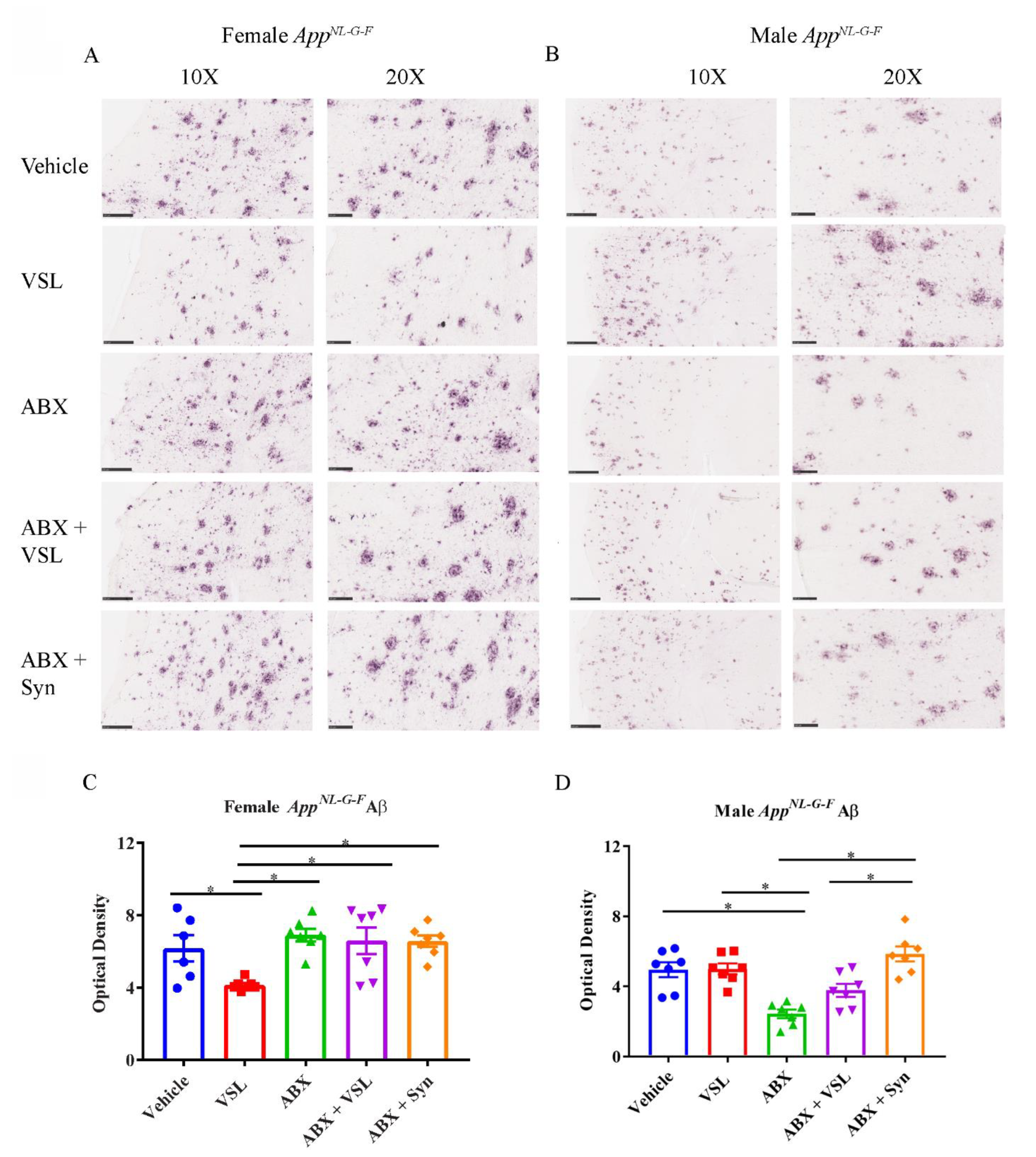 Cells 10 02370 g002 550